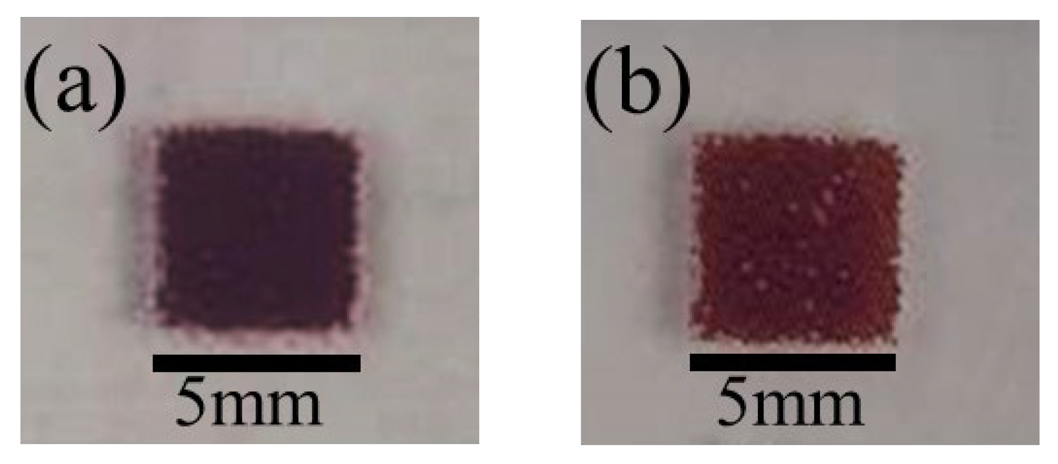 Coatings 14 00304 g005