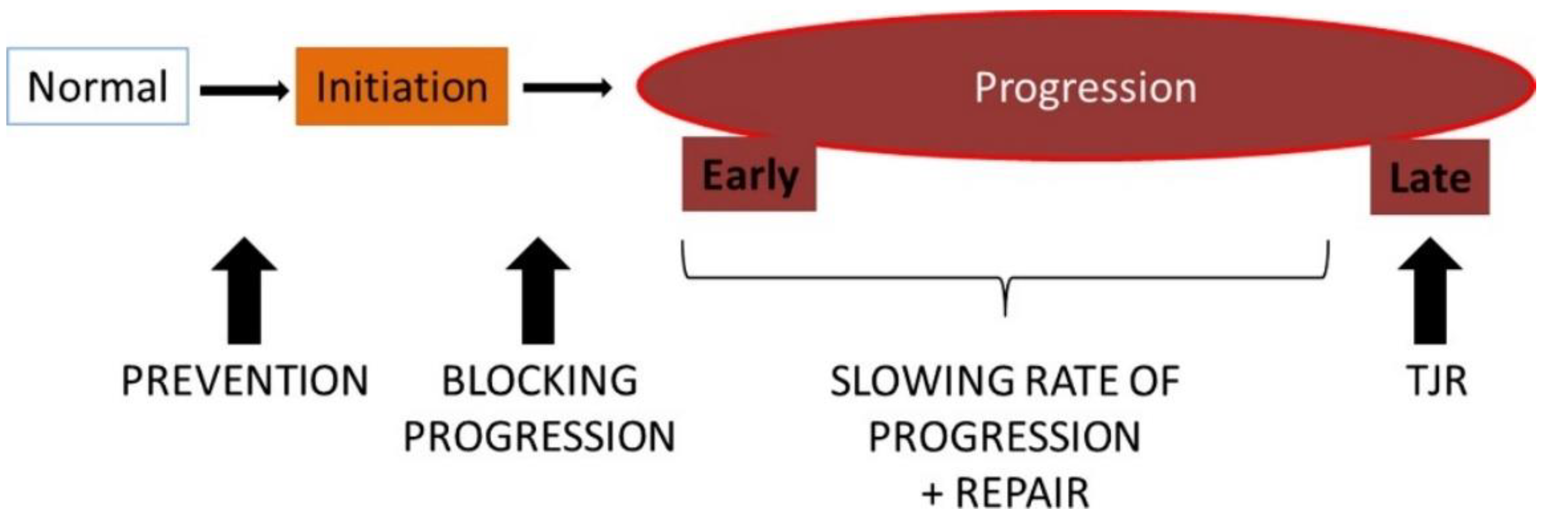 Coatings 14 00308 g001