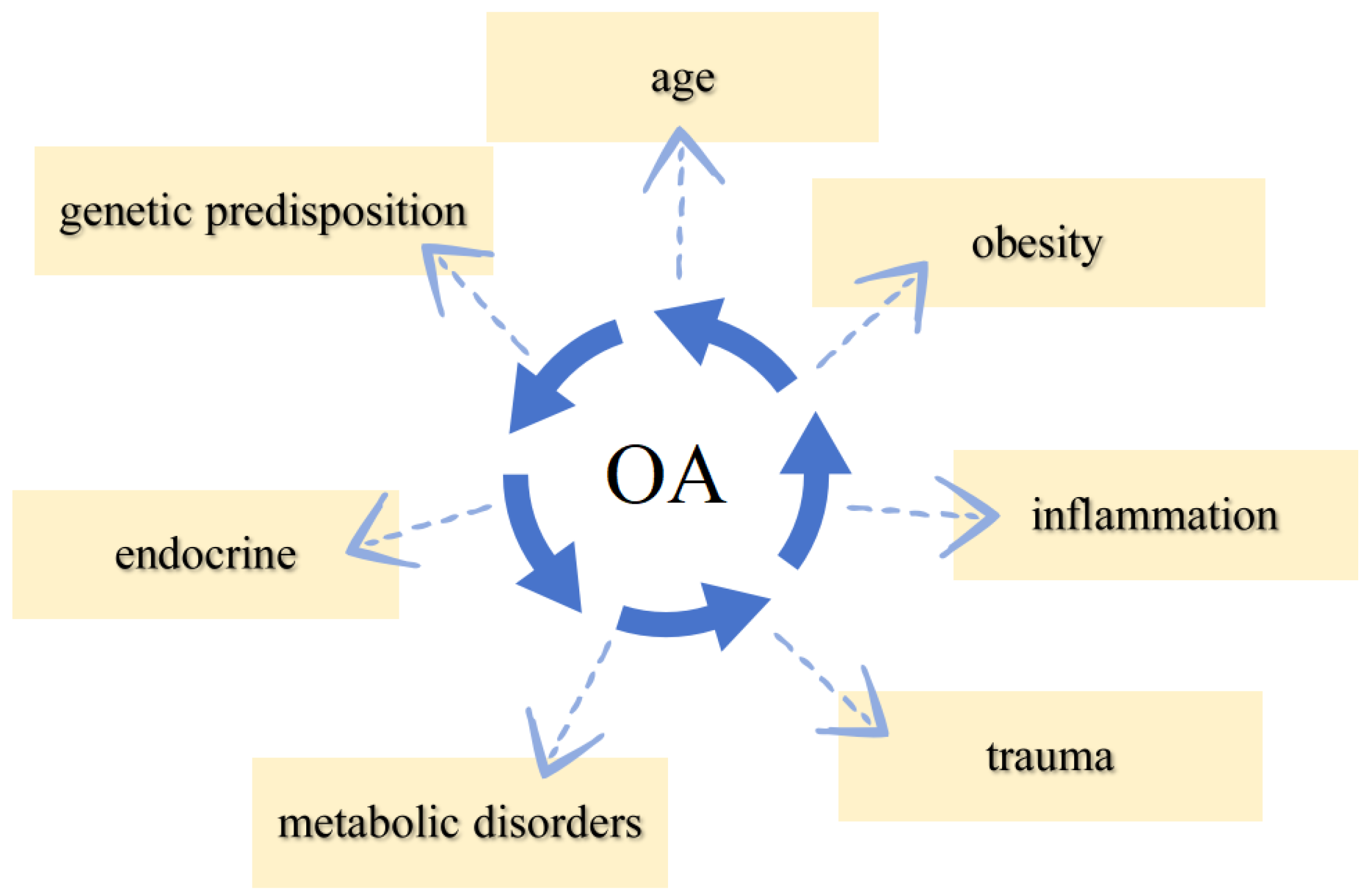 Coatings 14 00308 g002