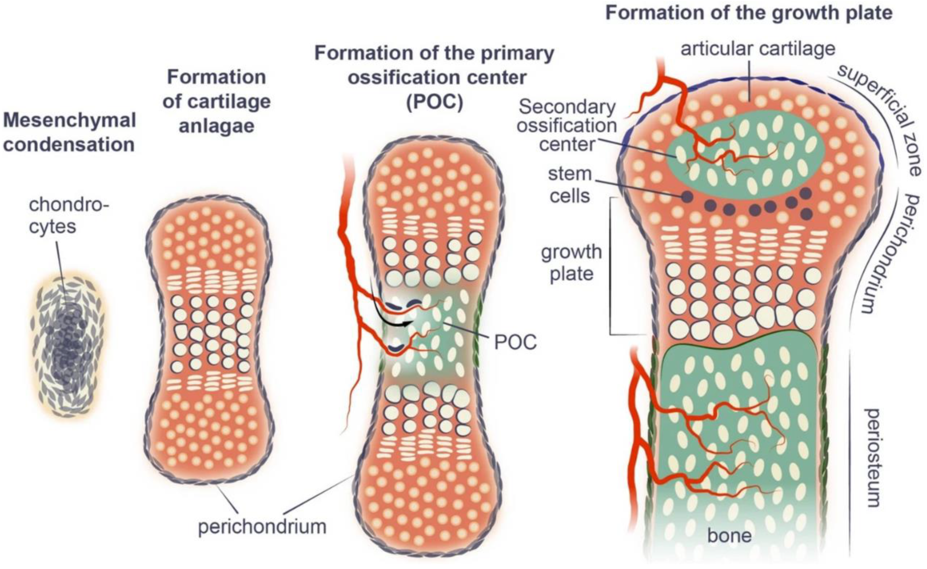 Coatings 14 00308 g004
