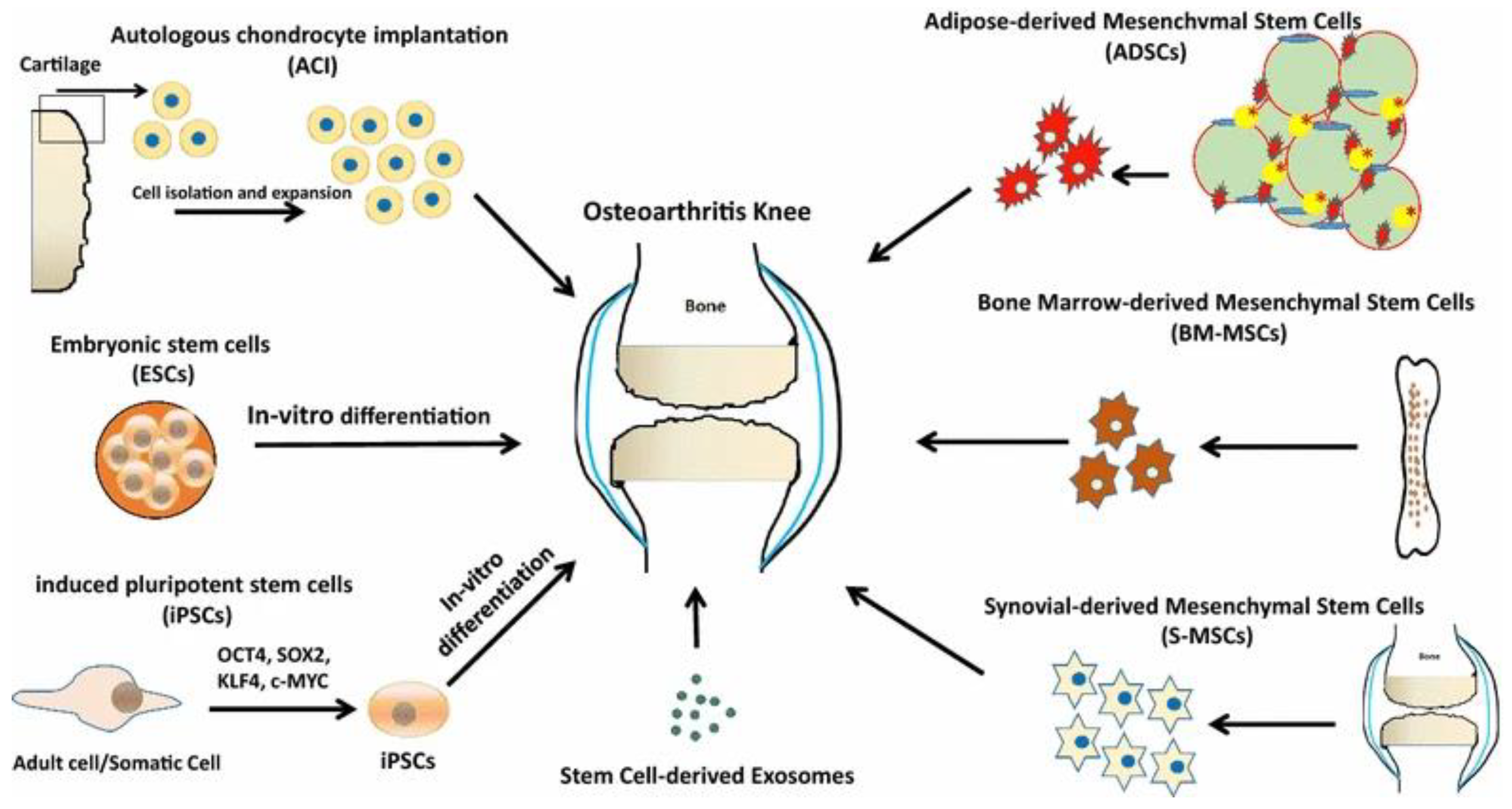 Coatings 14 00308 g005