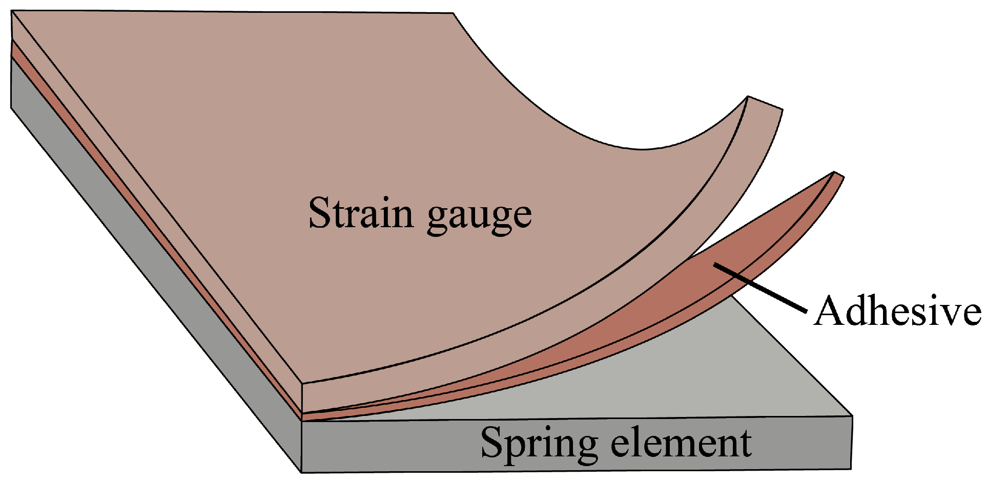 Coatings 14 00312 g001