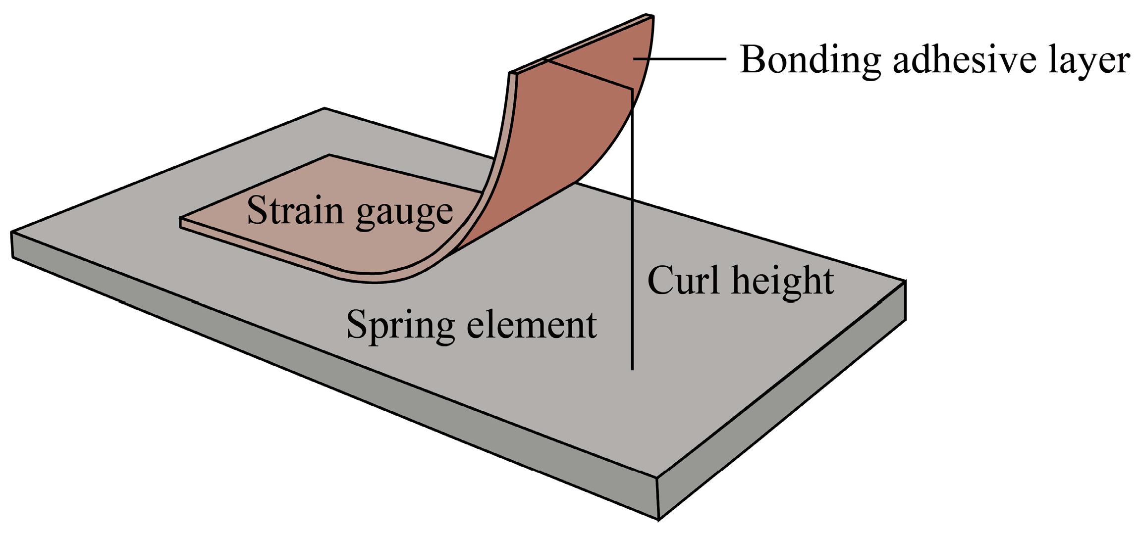 Coatings 14 00312 g003