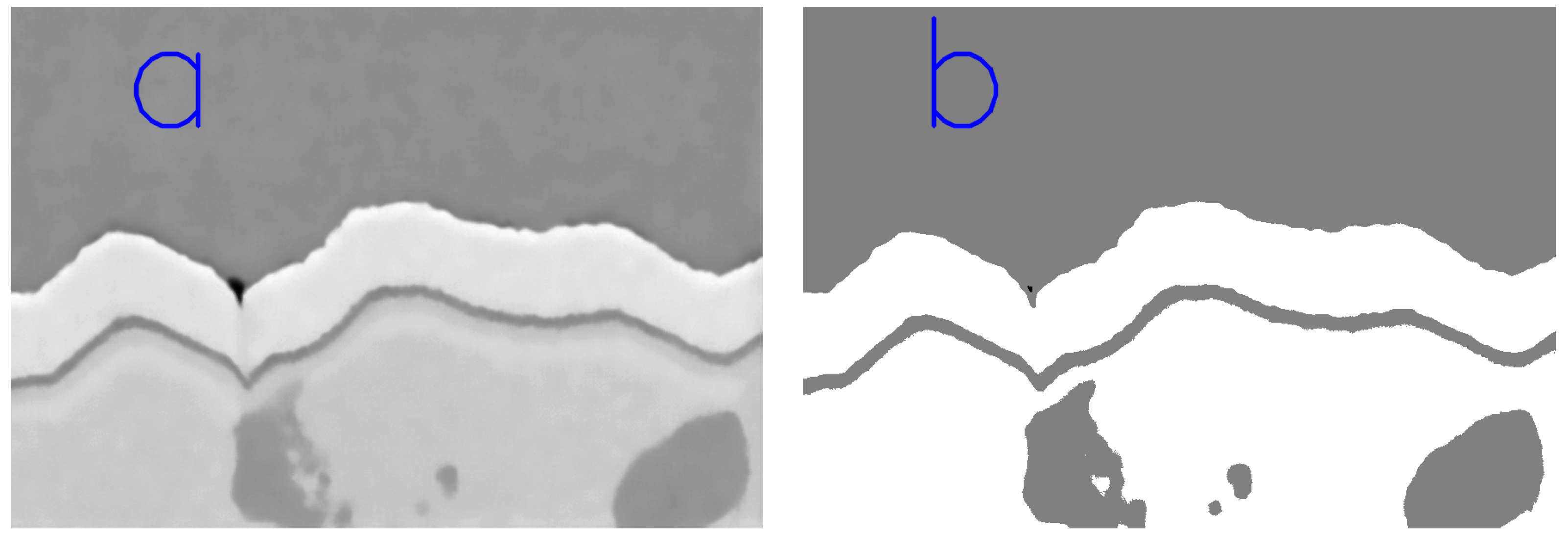 Coatings 14 00313 g004