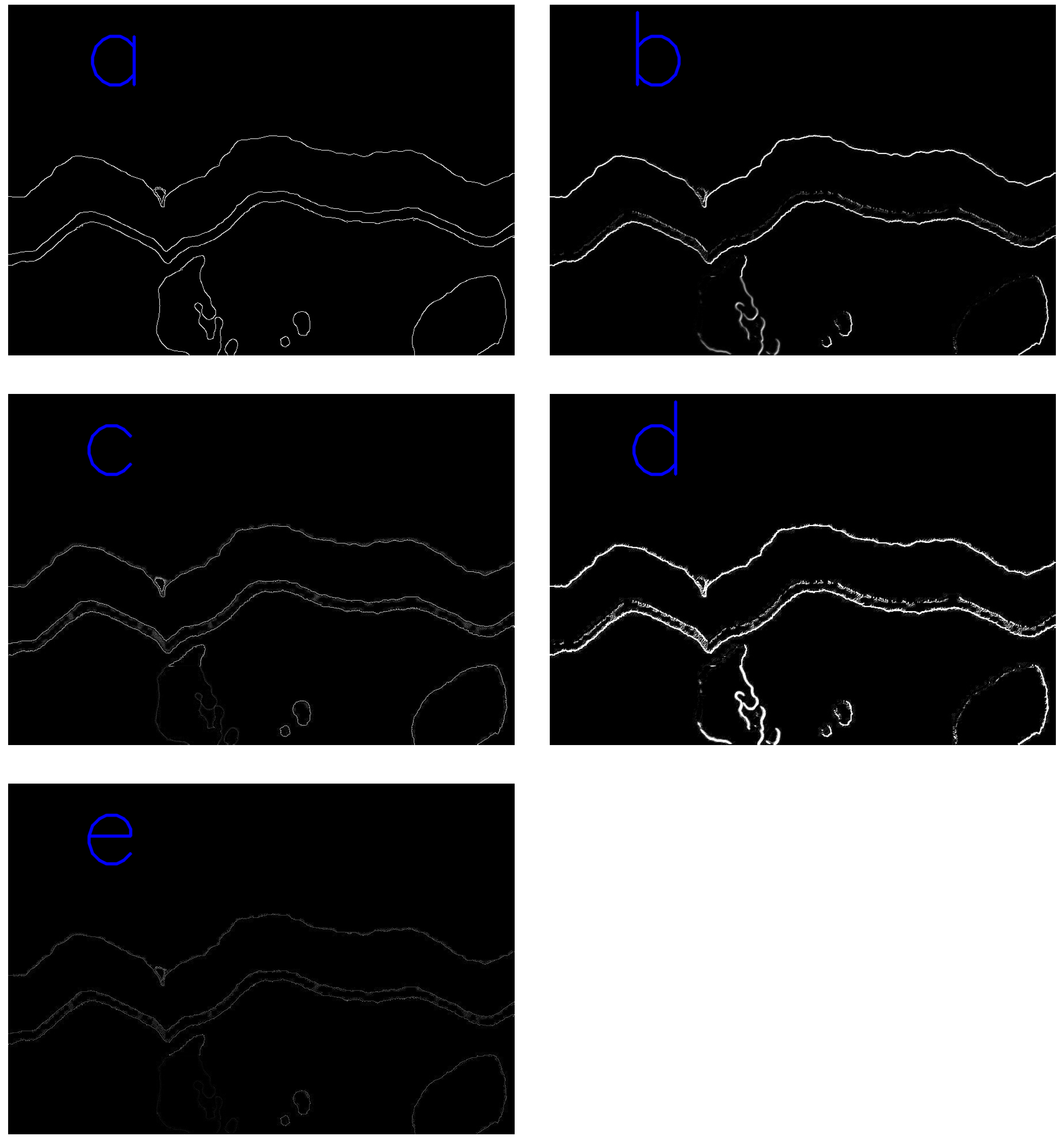 Coatings 14 00313 g014