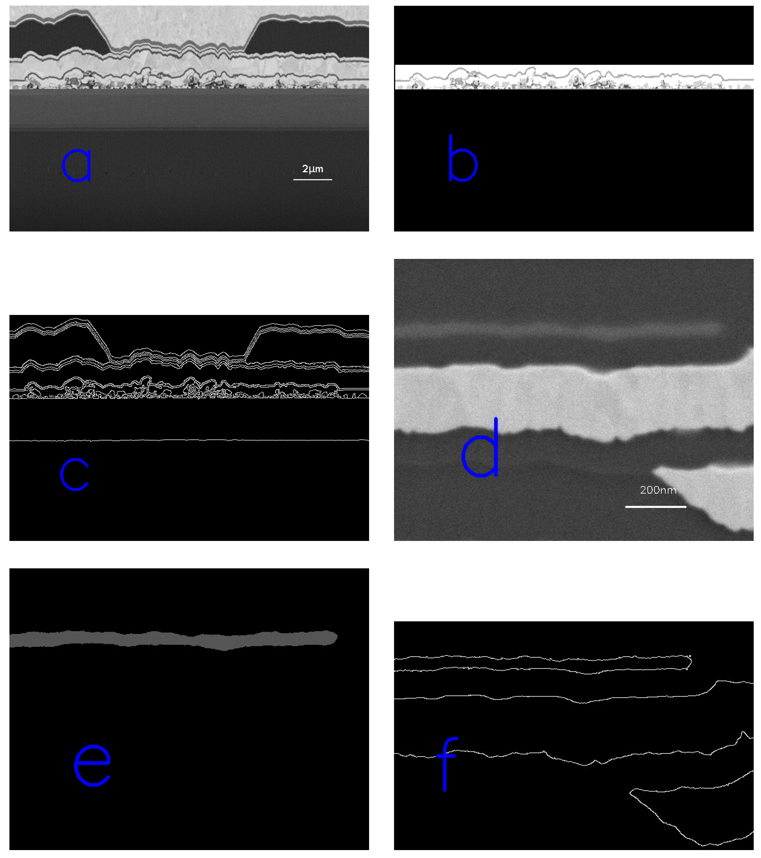 Coatings 14 00313 g015