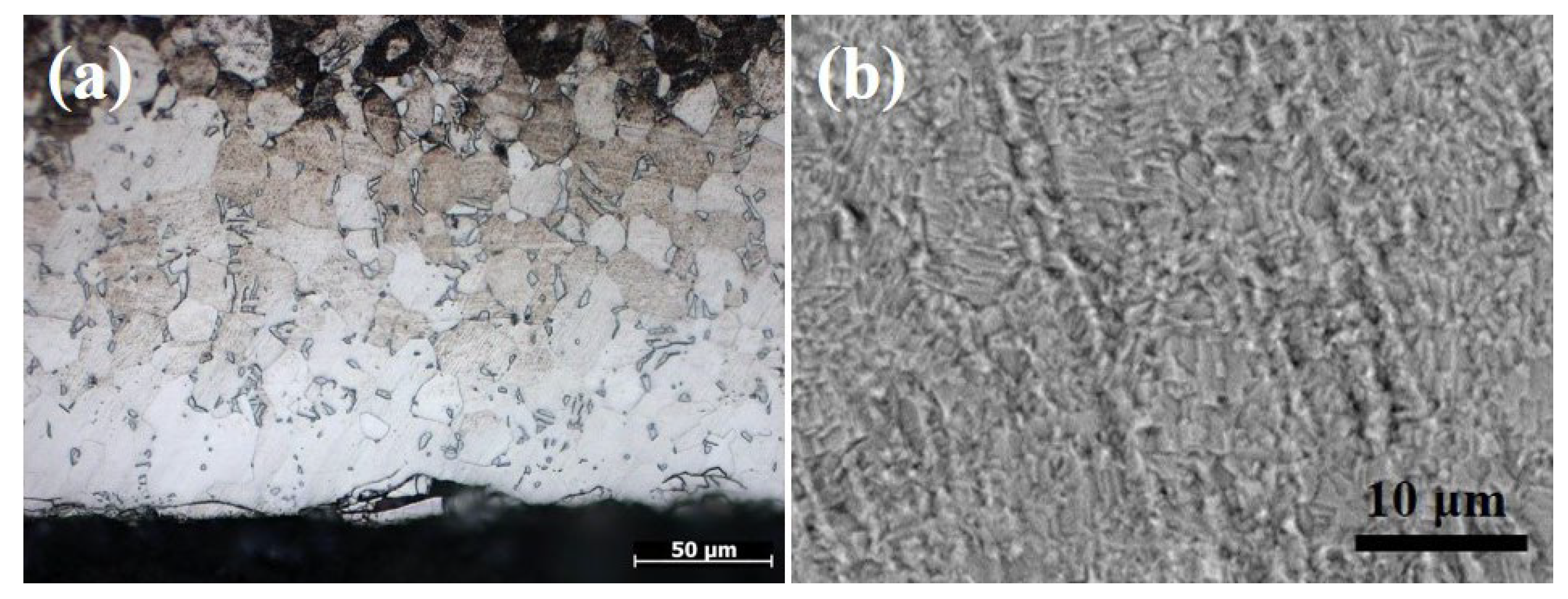 Coatings 14 00314 g005