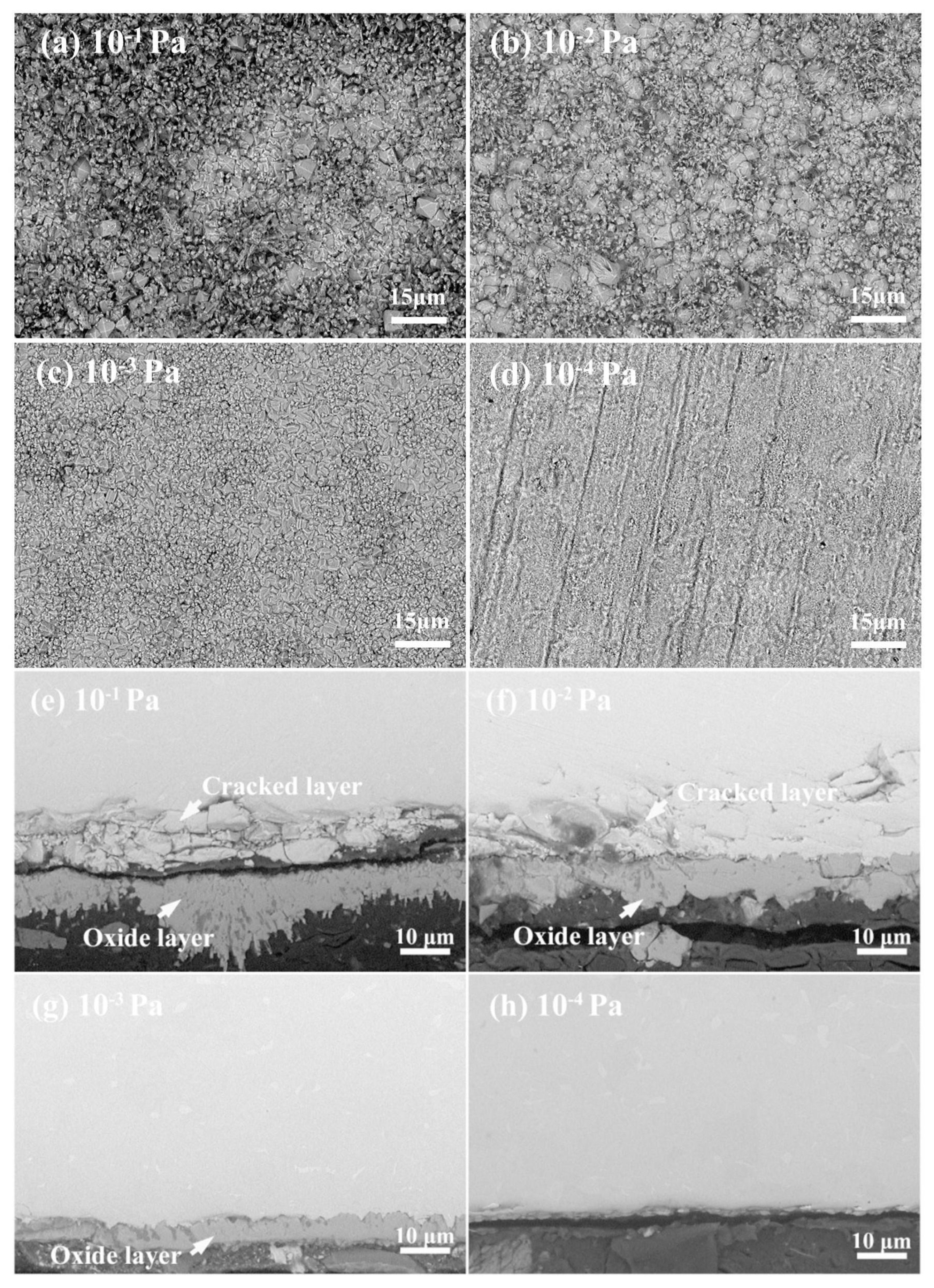 Coatings 14 00314 g009