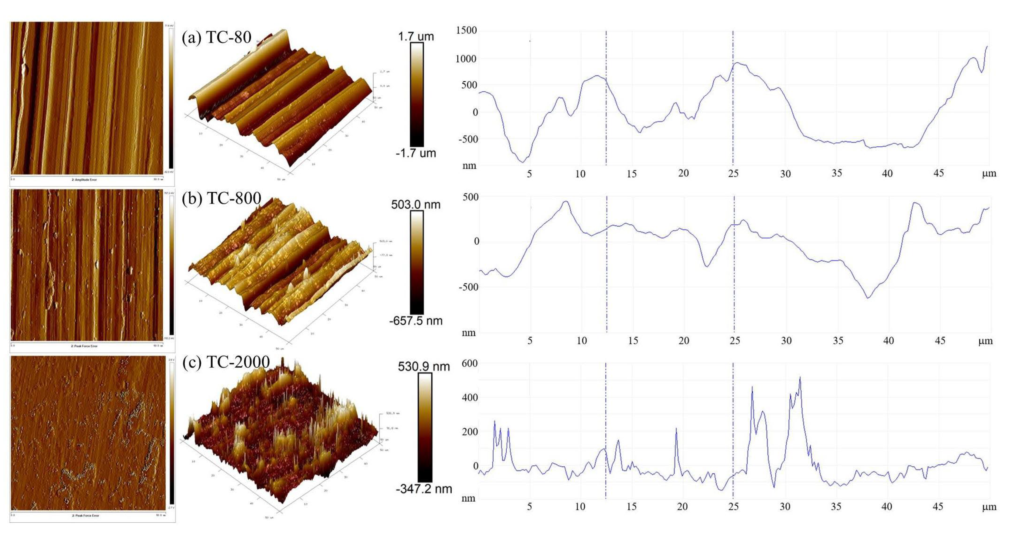 Coatings 14 00314 g011