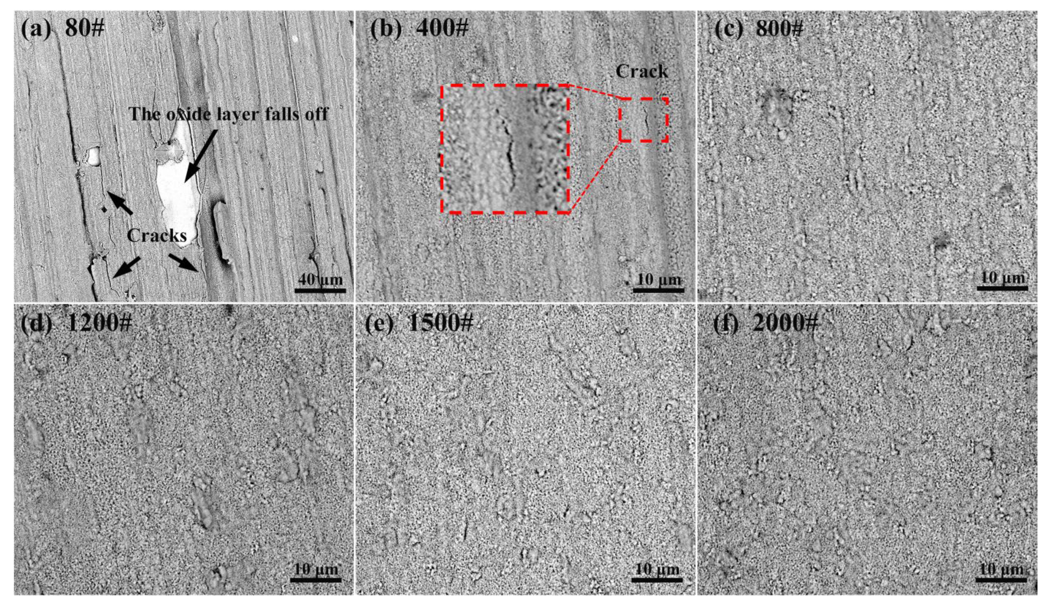 Coatings 14 00314 g012