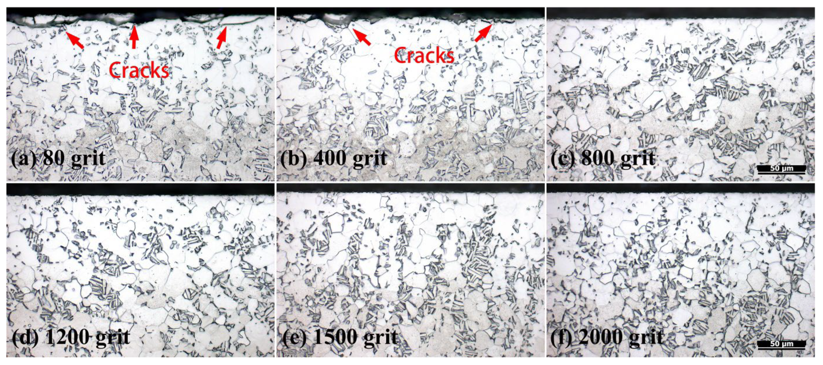 Coatings 14 00314 g016