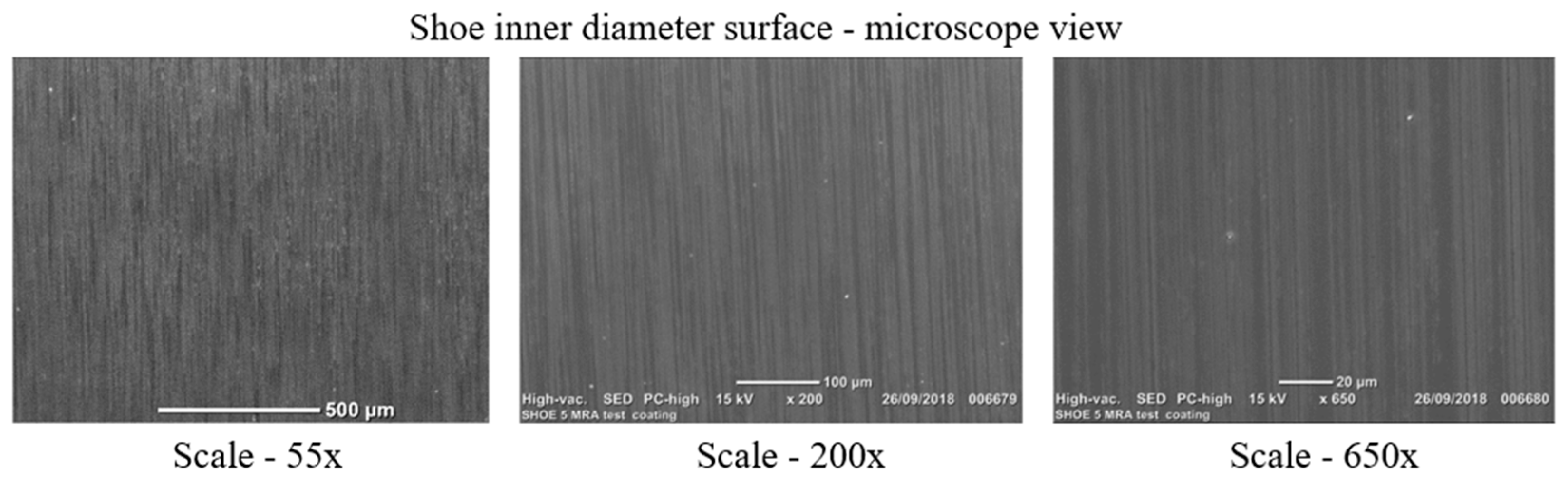 Coatings 14 00316 g021