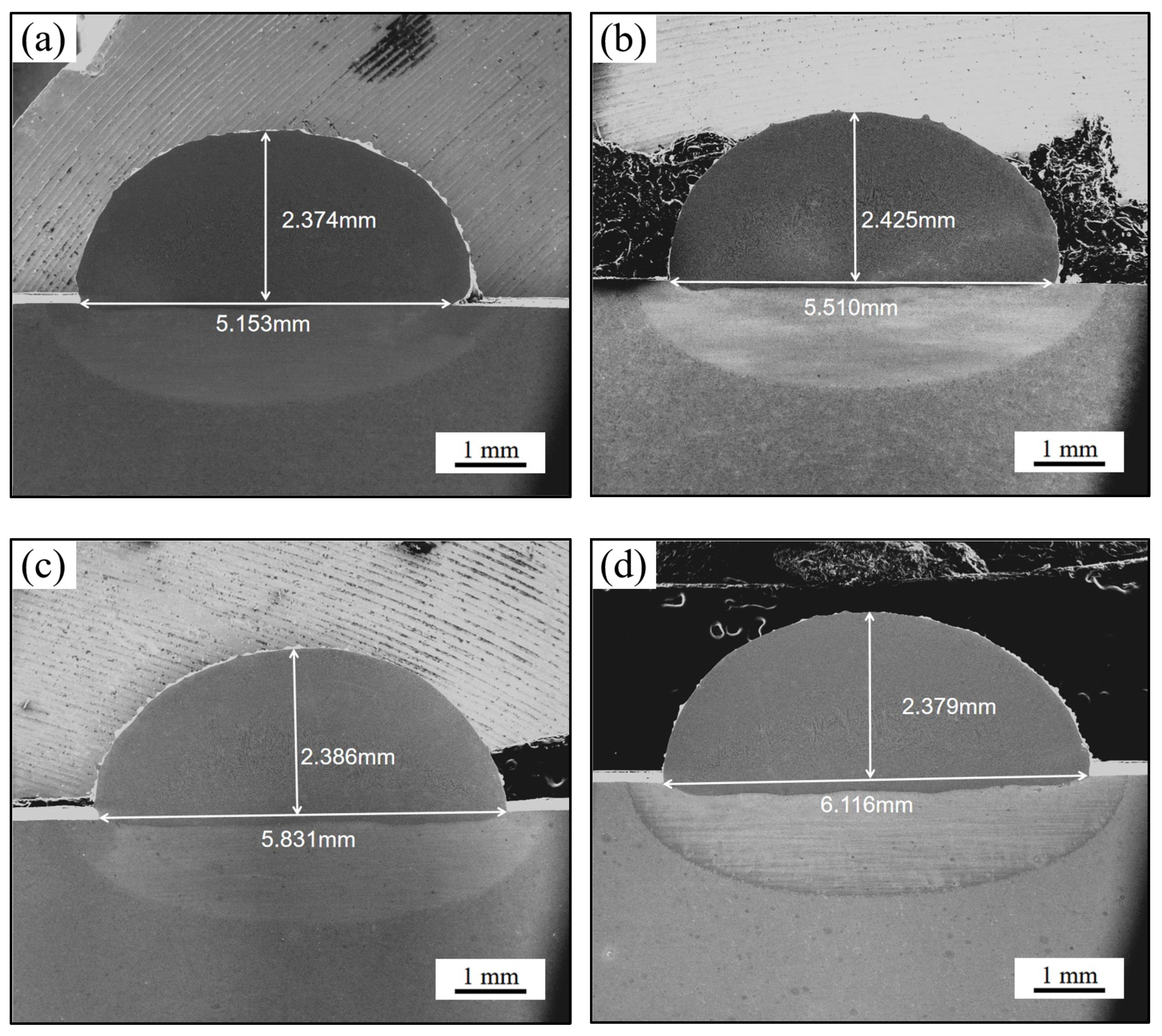 Coatings 14 00317 g004
