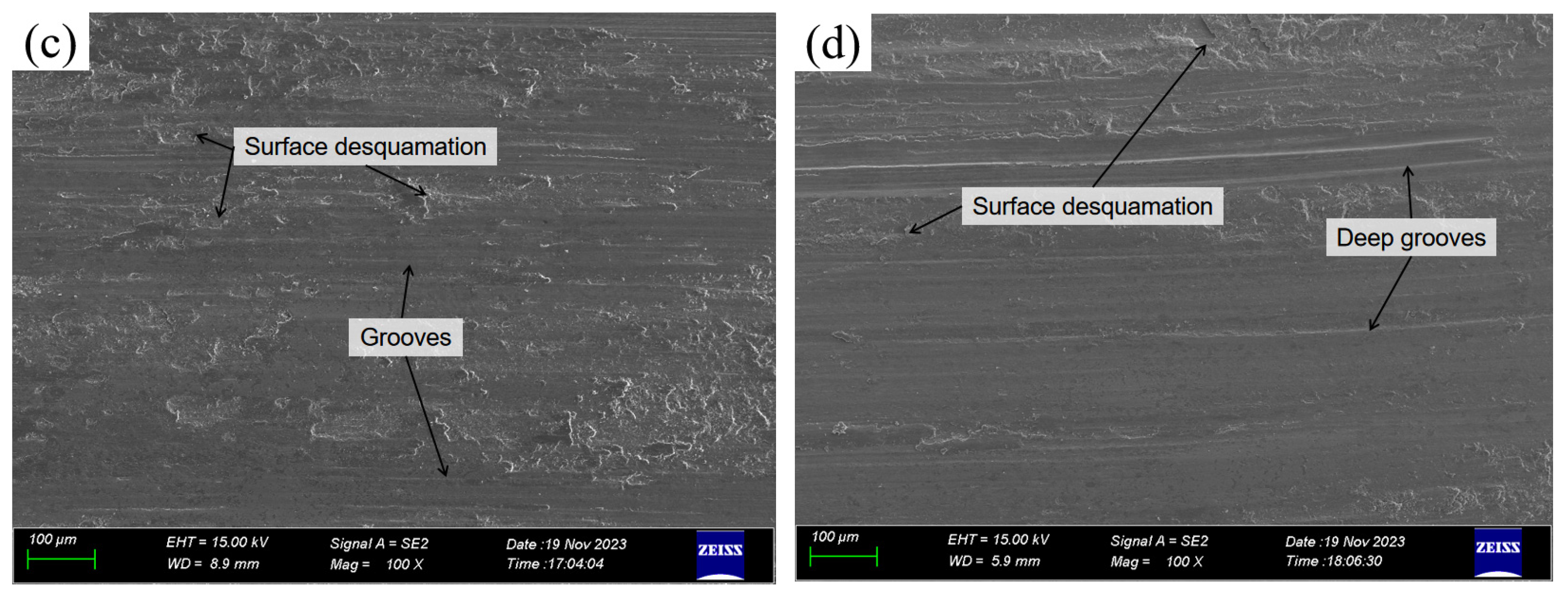 Coatings 14 00317 g015b