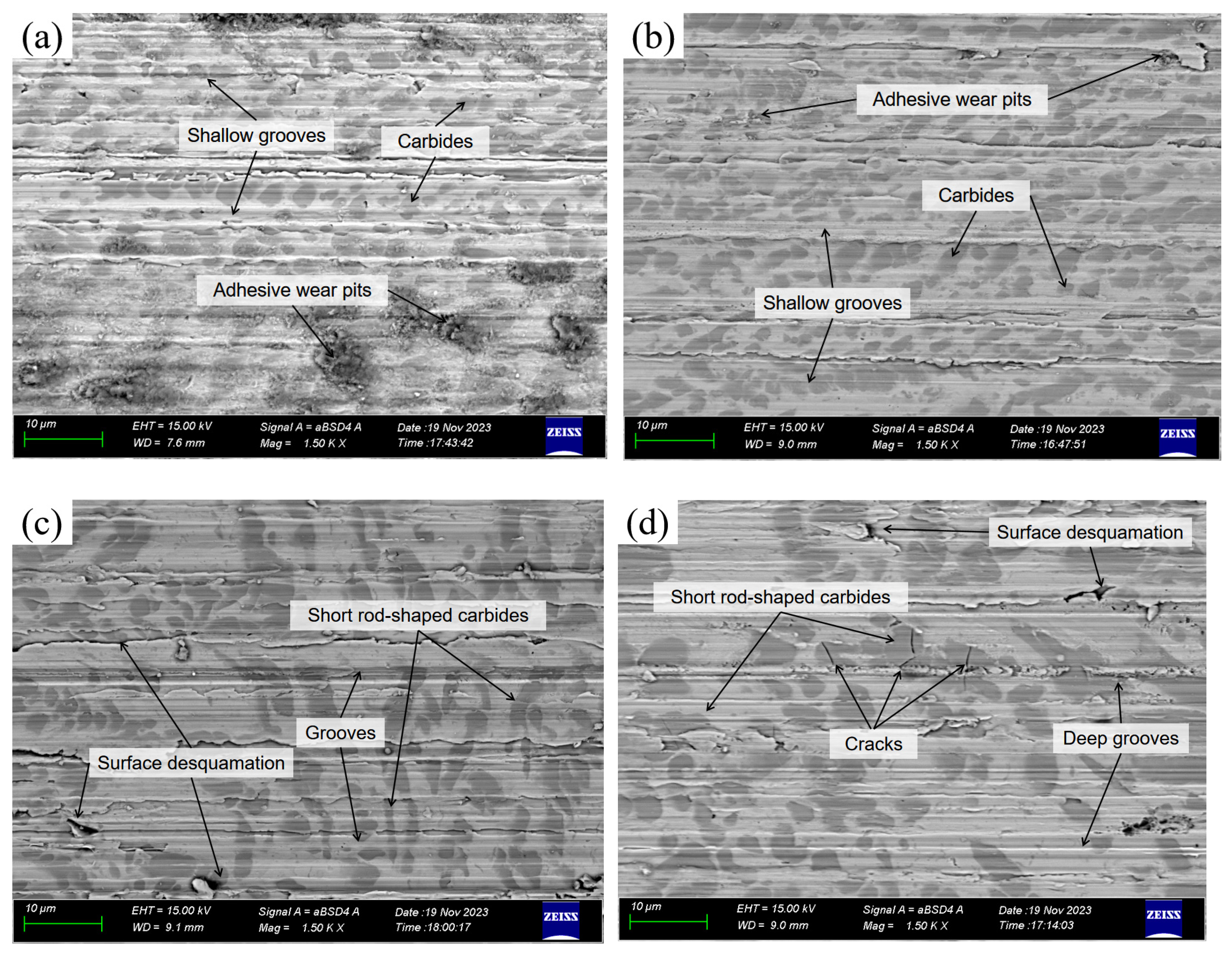 Coatings 14 00317 g016