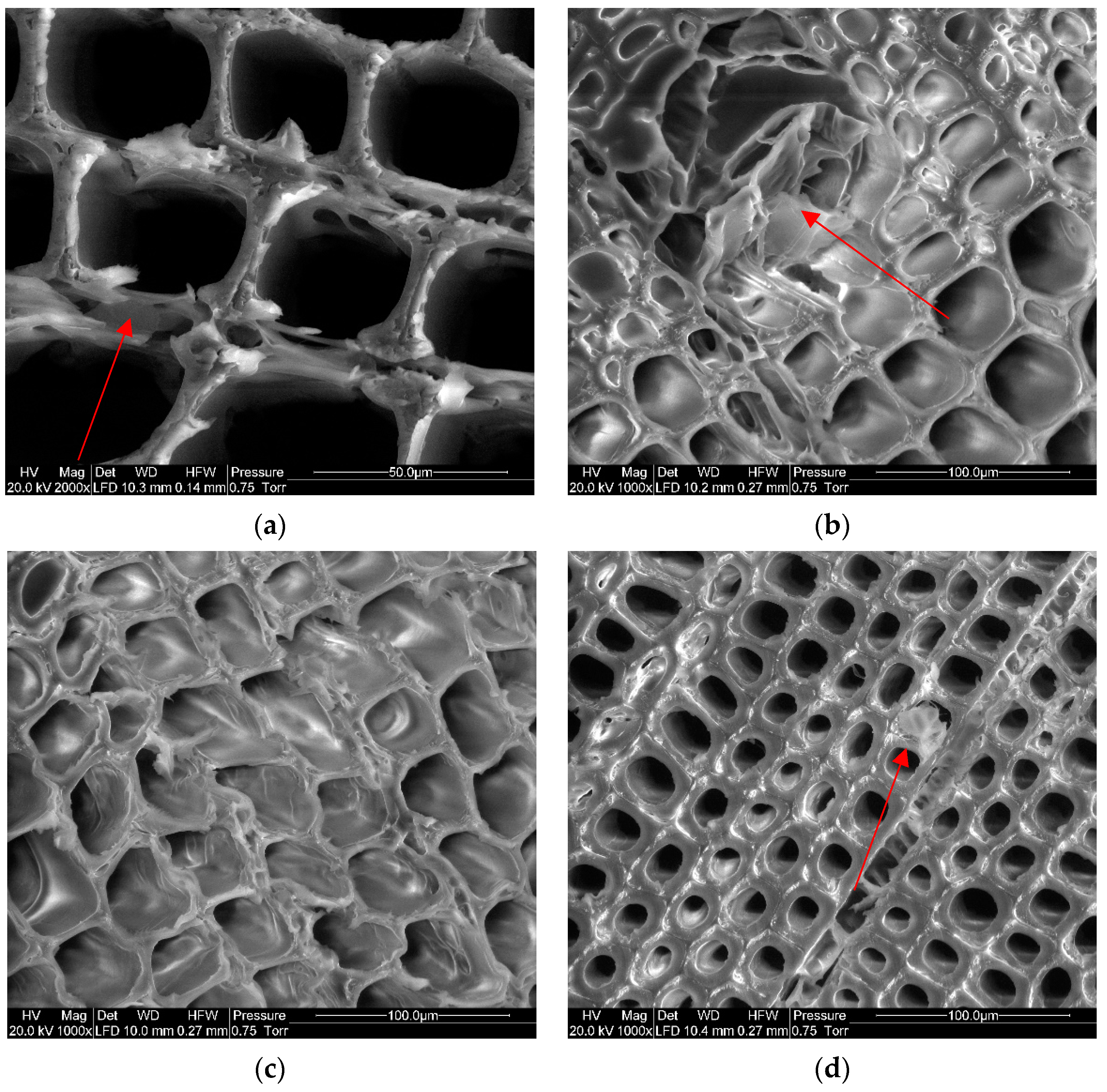 Coatings 14 00321 g004