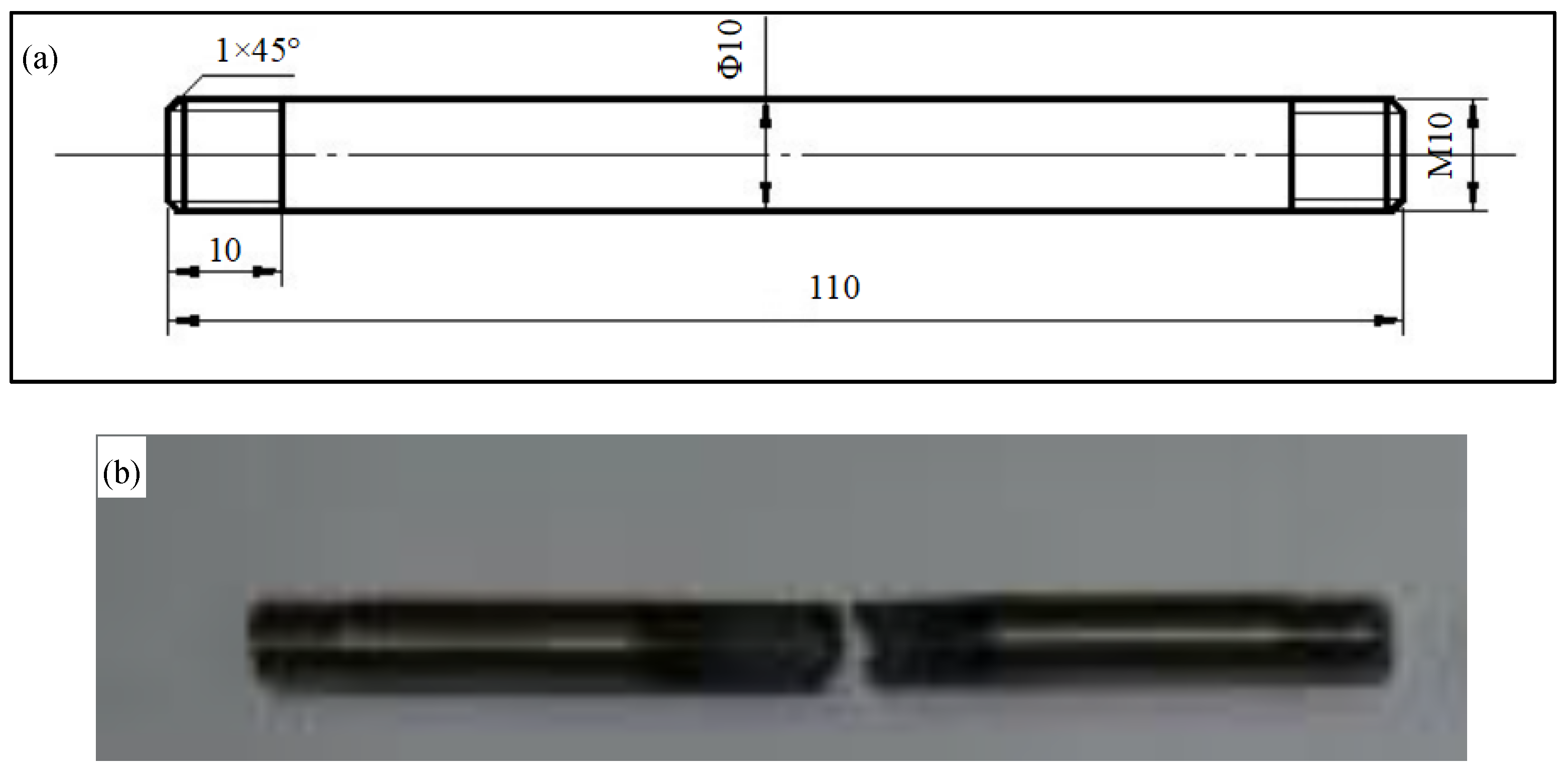 Coatings 14 00323 g001