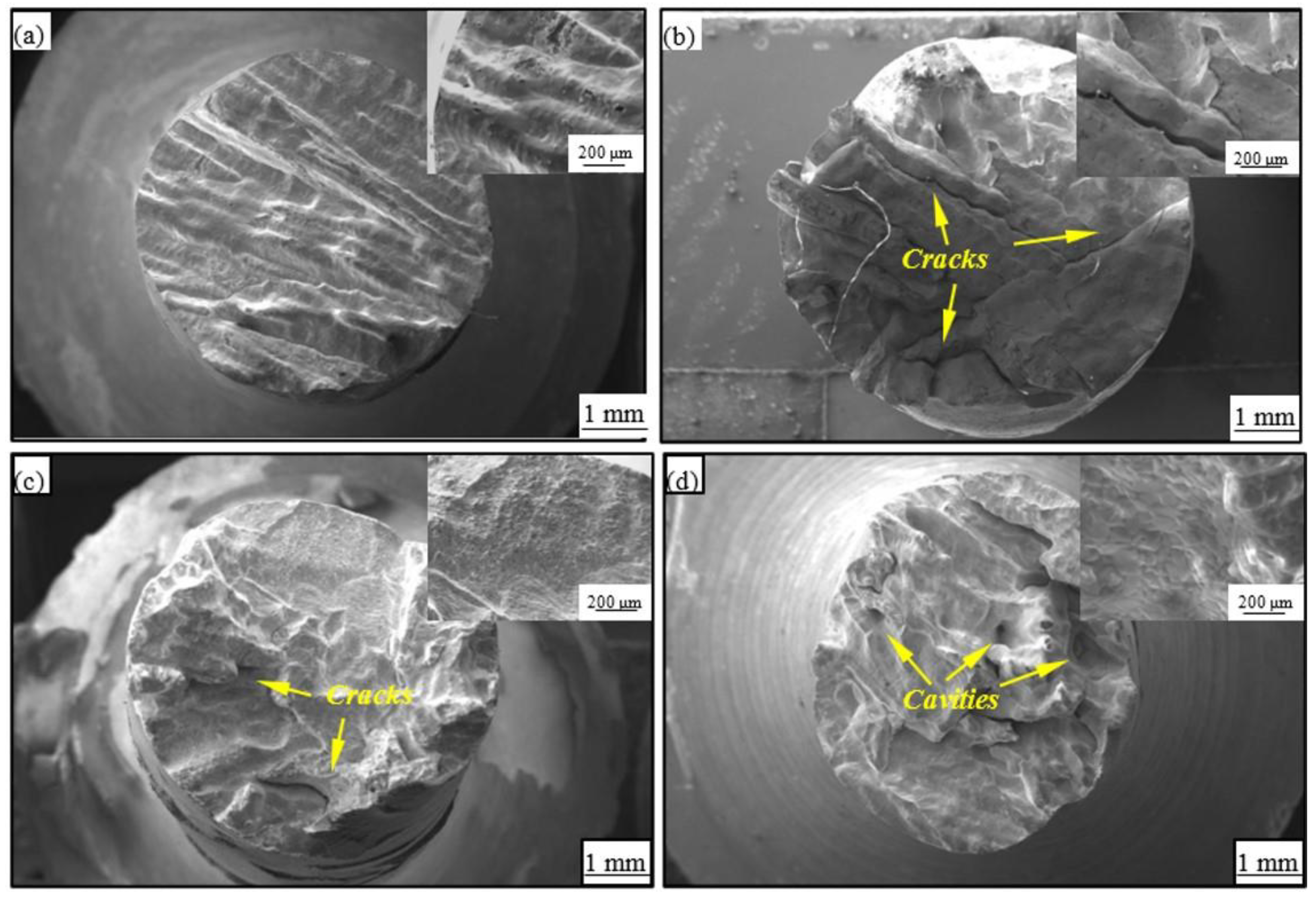 Coatings 14 00323 g008