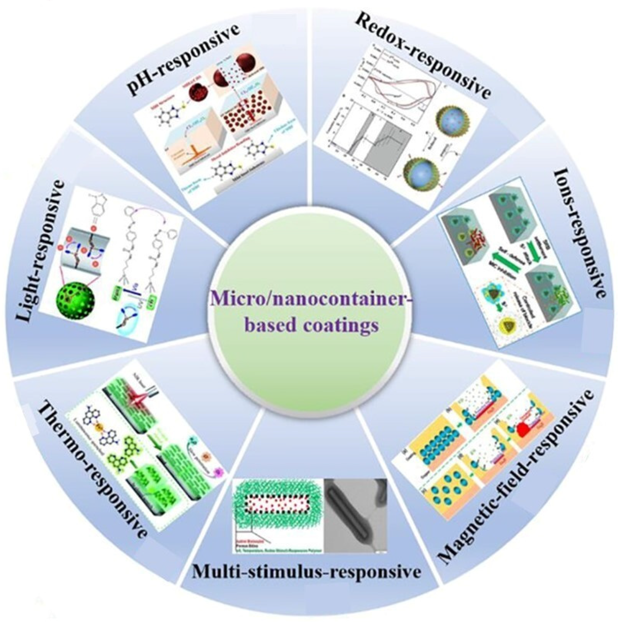 Coatings 14 00324 g001
