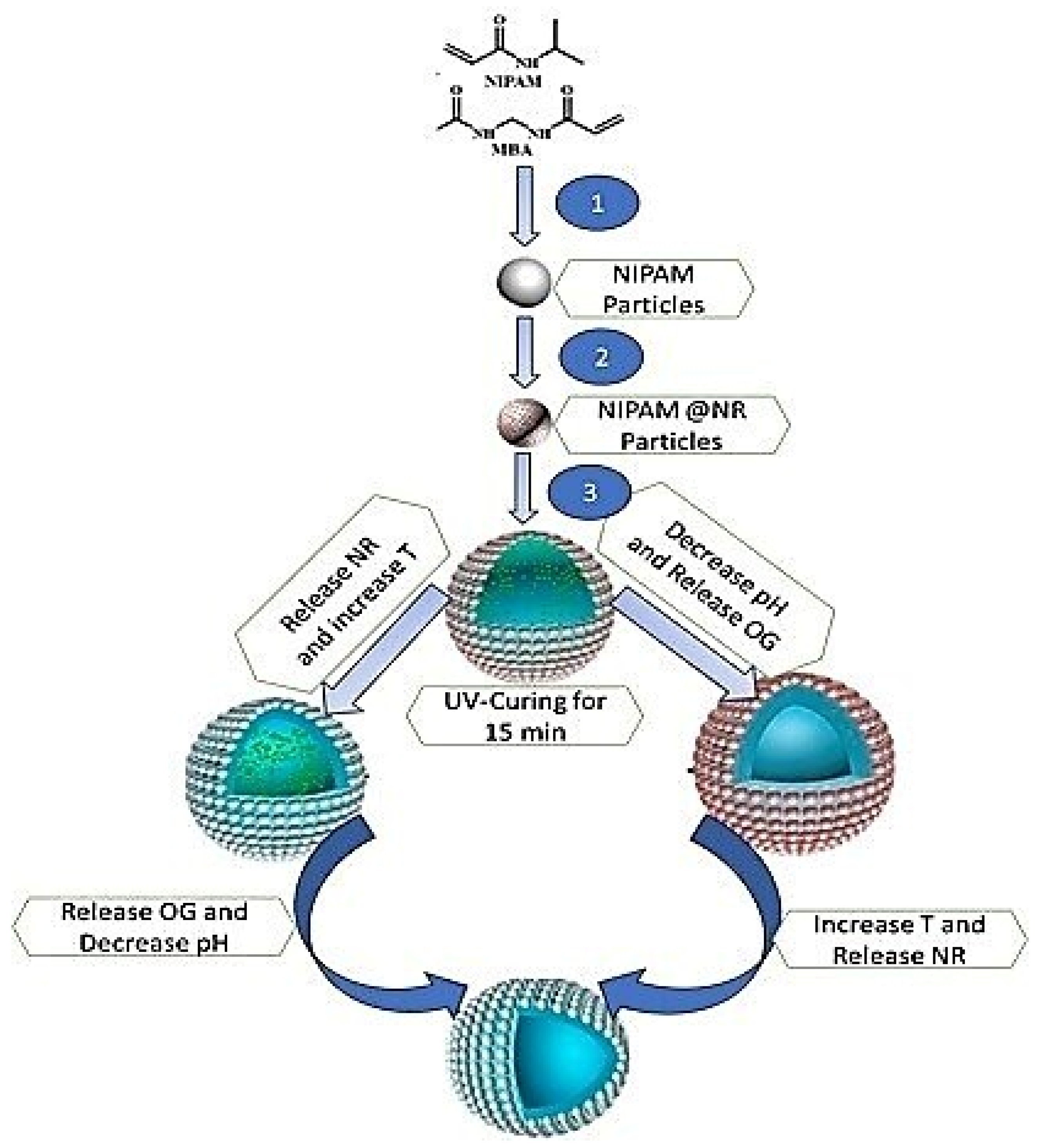 Coatings 14 00324 g004