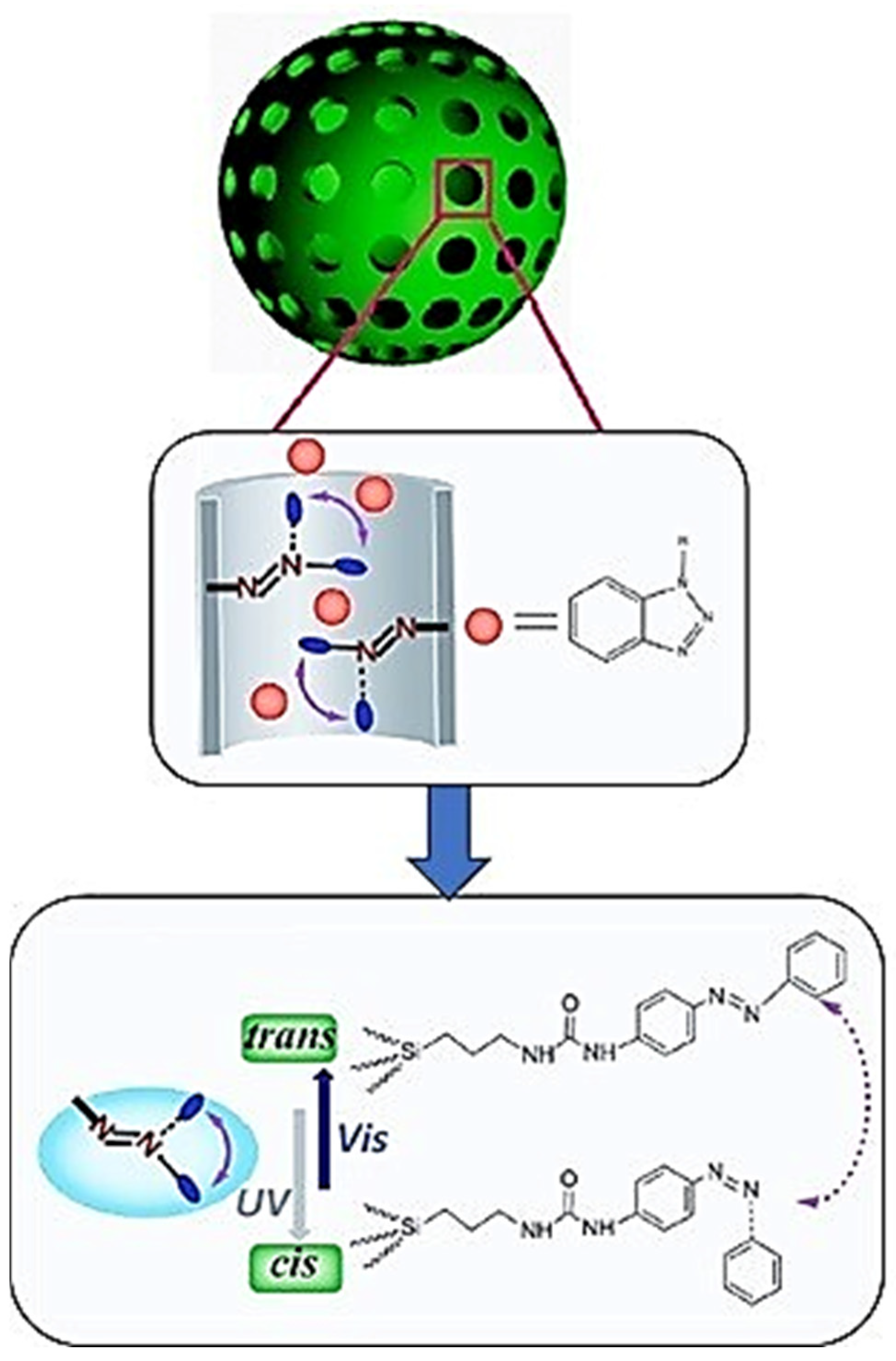 Coatings 14 00324 g010