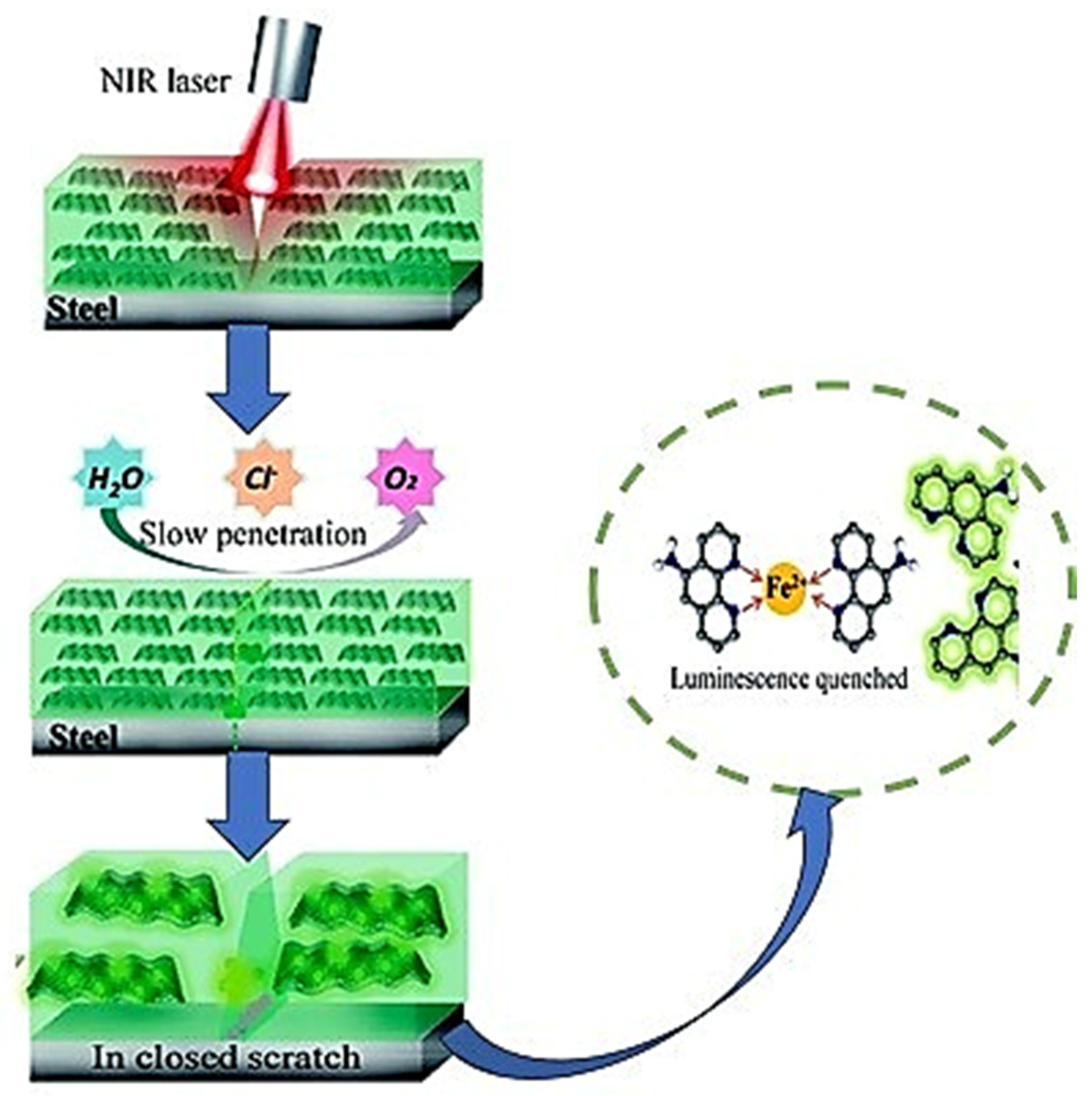 Coatings 14 00324 g013
