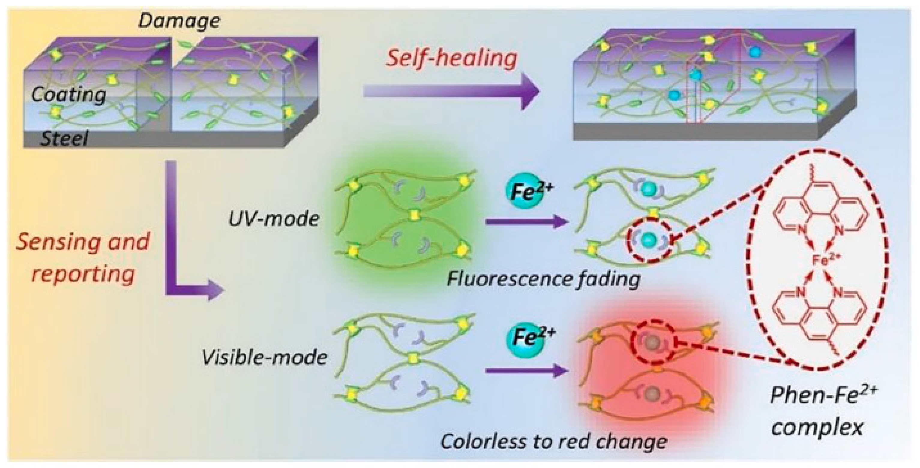 Coatings 14 00324 g015