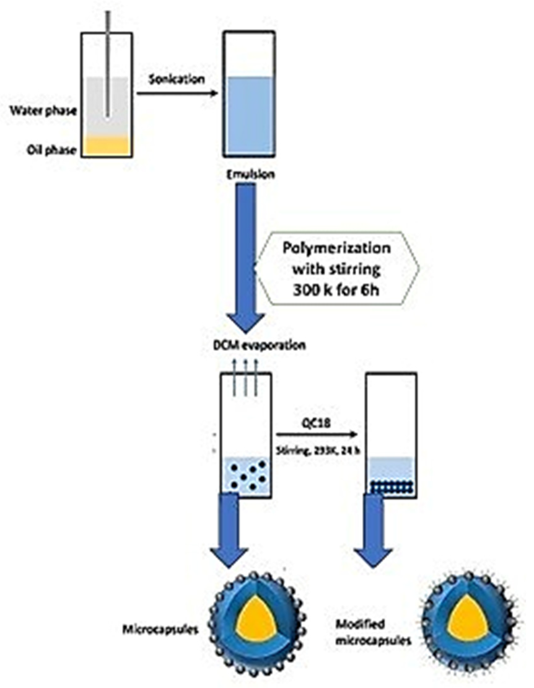 Coatings 14 00324 g016