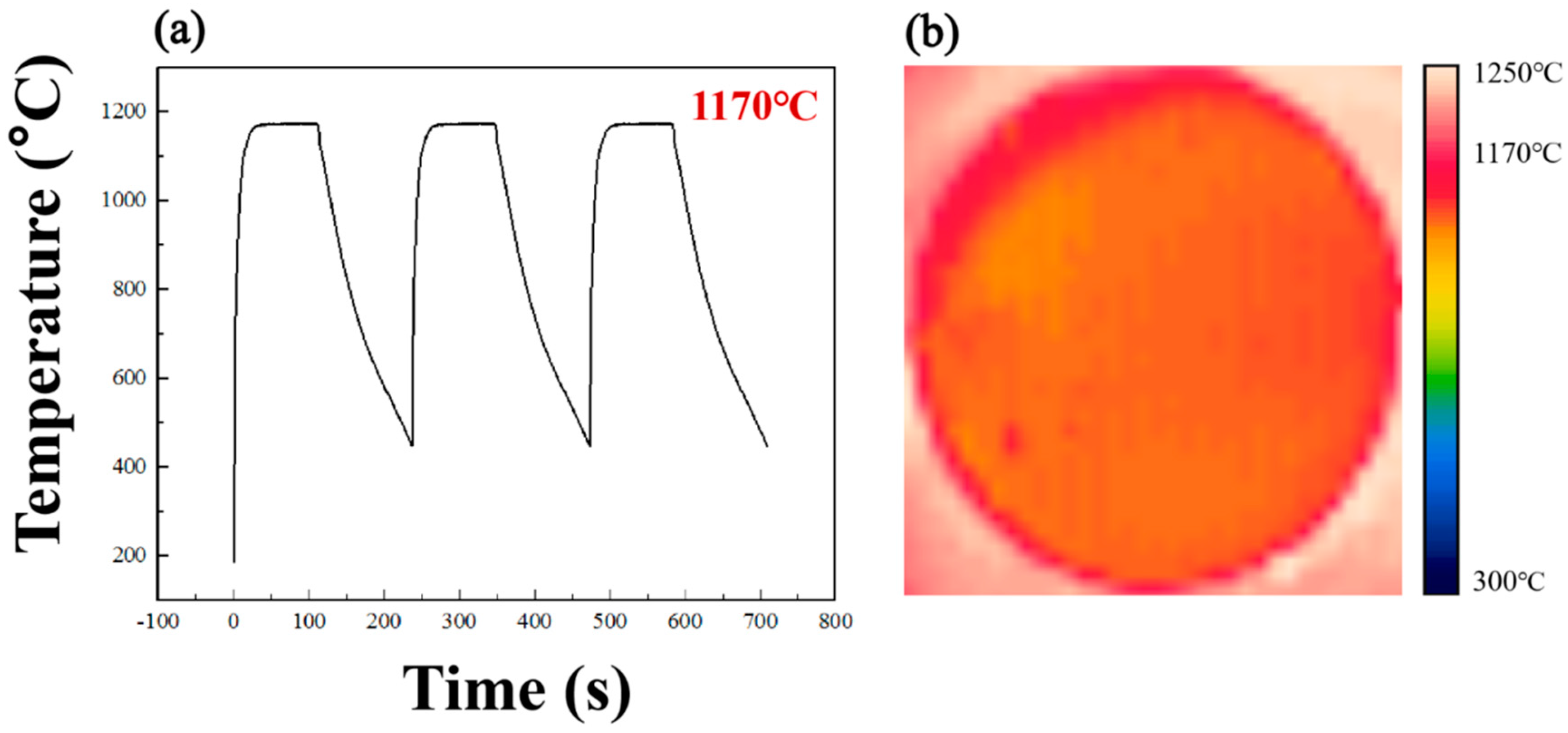 Coatings 14 00326 g002