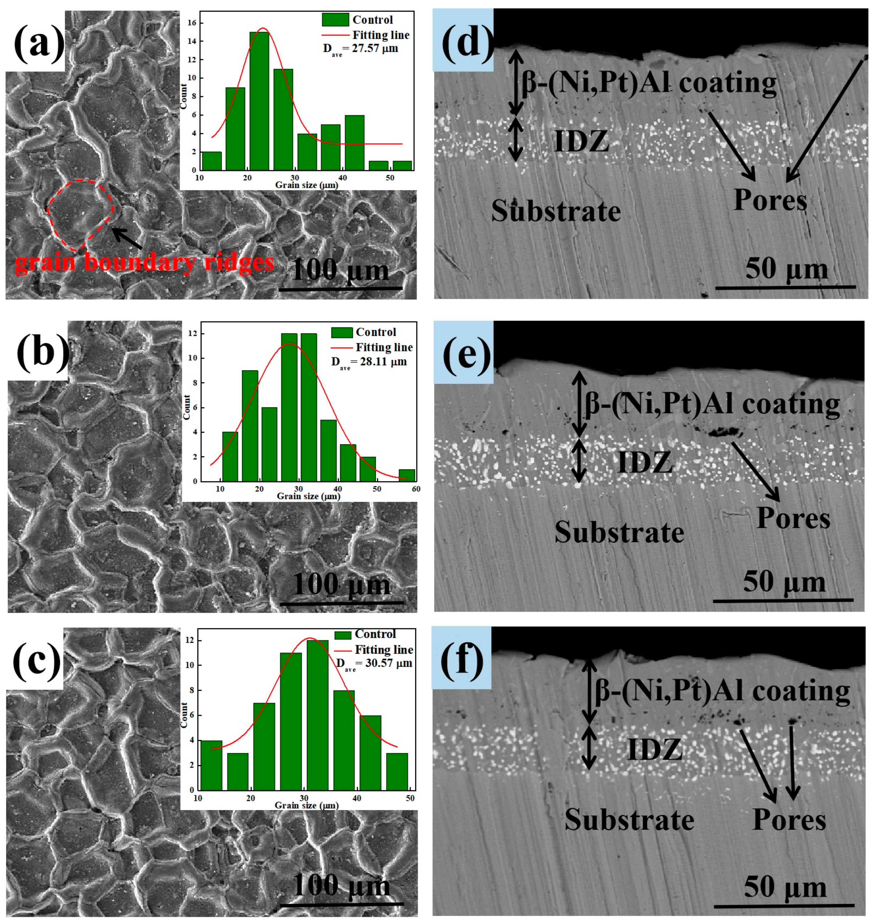 Coatings 14 00326 g004