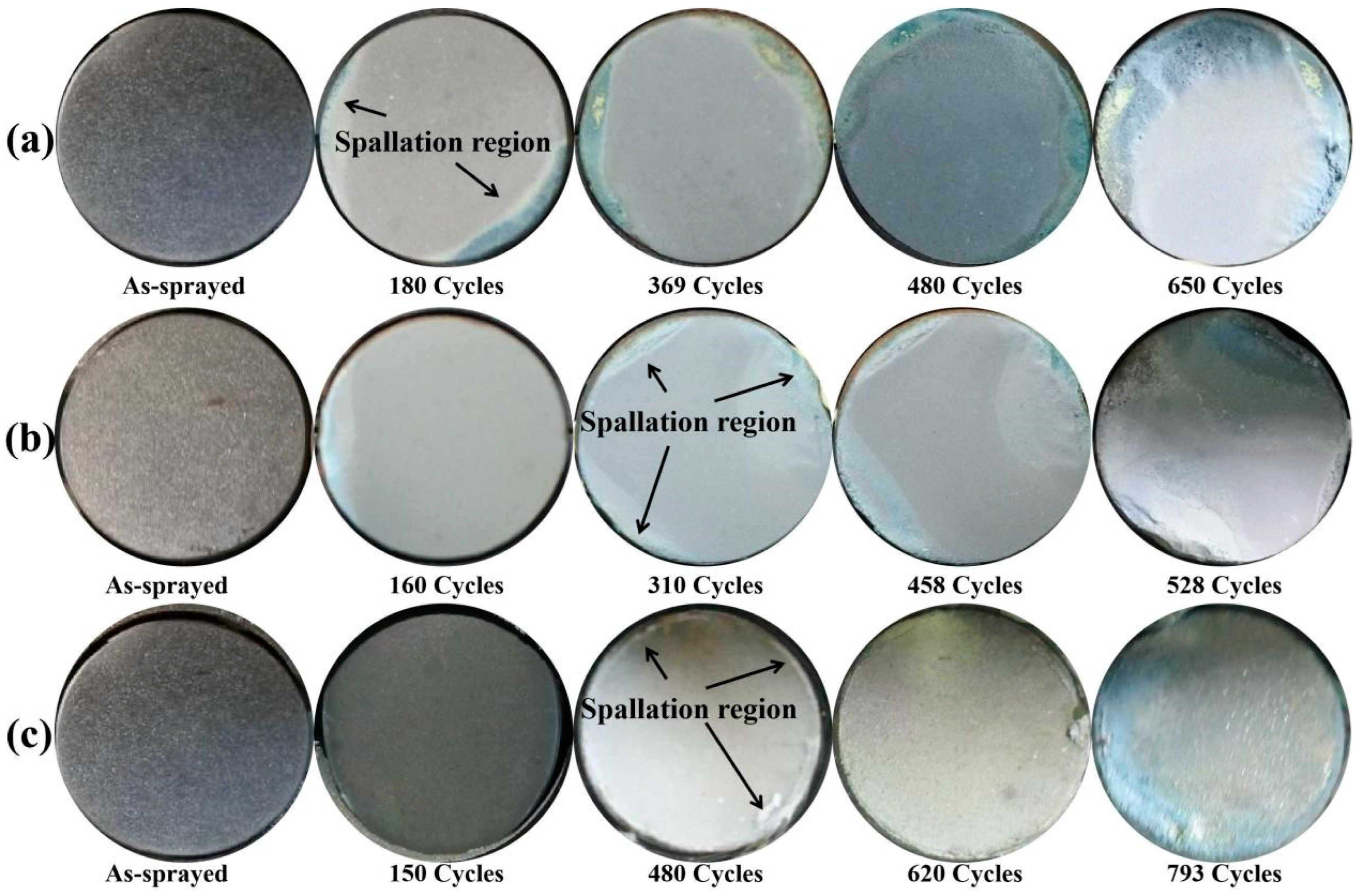 Coatings 14 00326 g005
