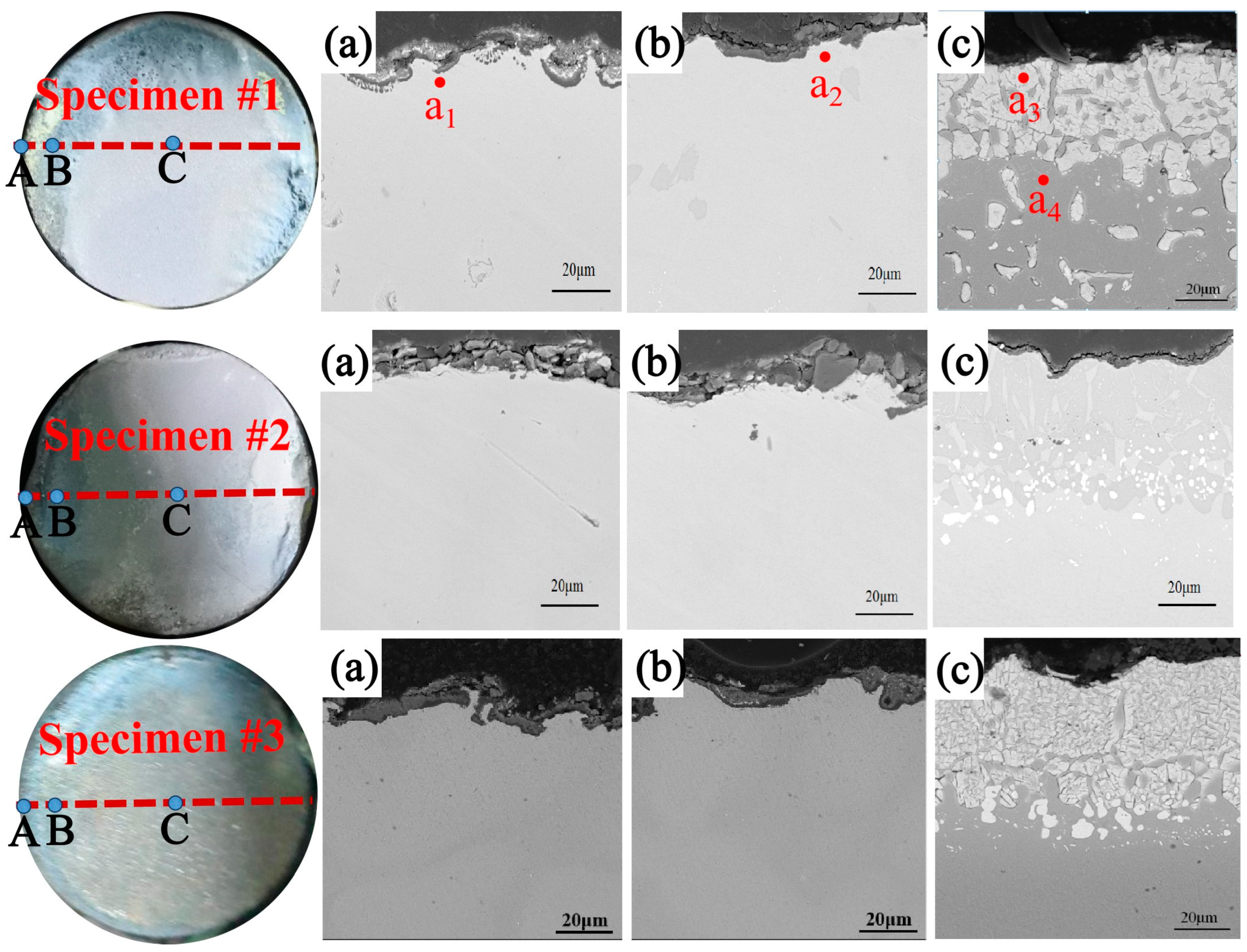 Coatings 14 00326 g006