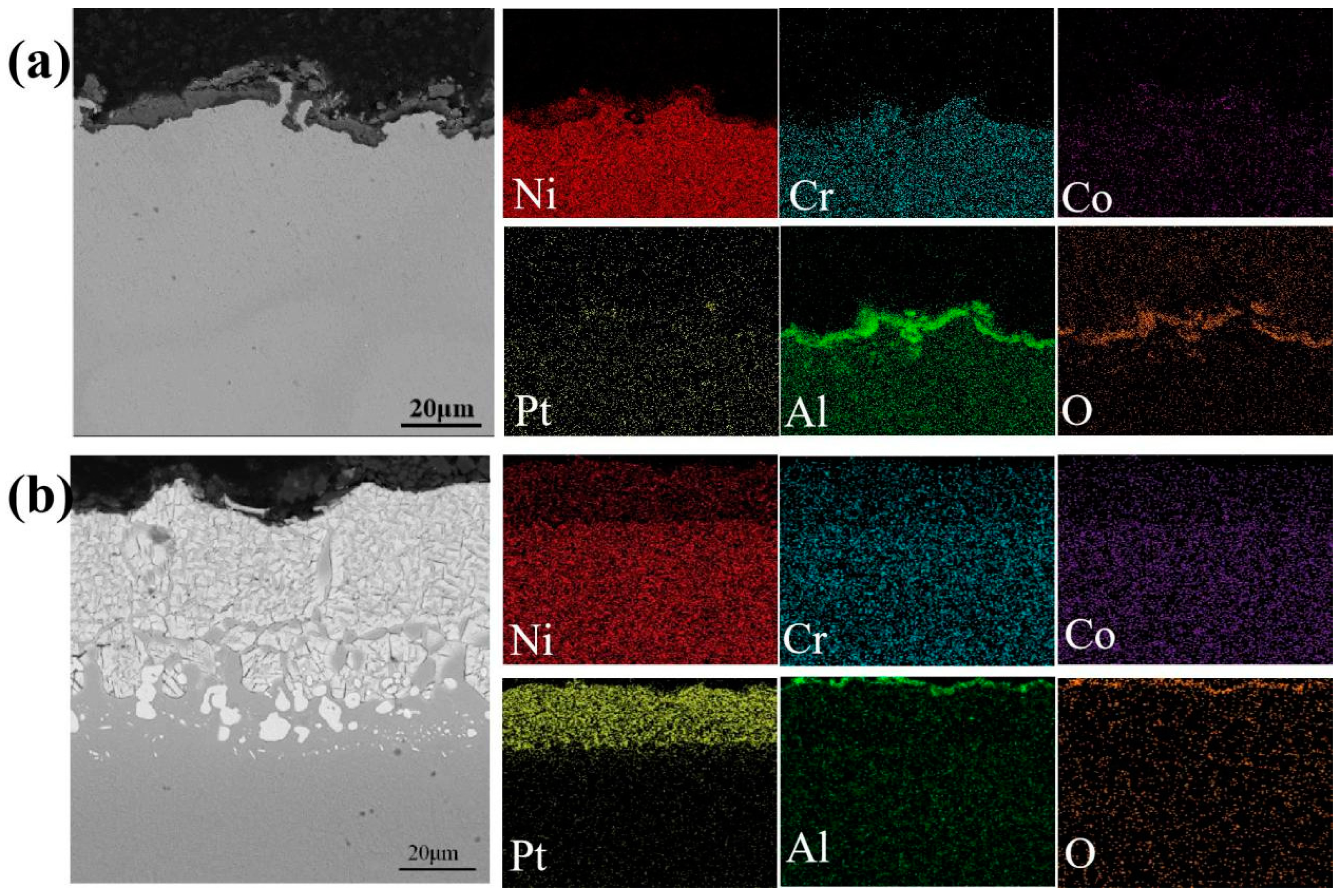Coatings 14 00326 g007