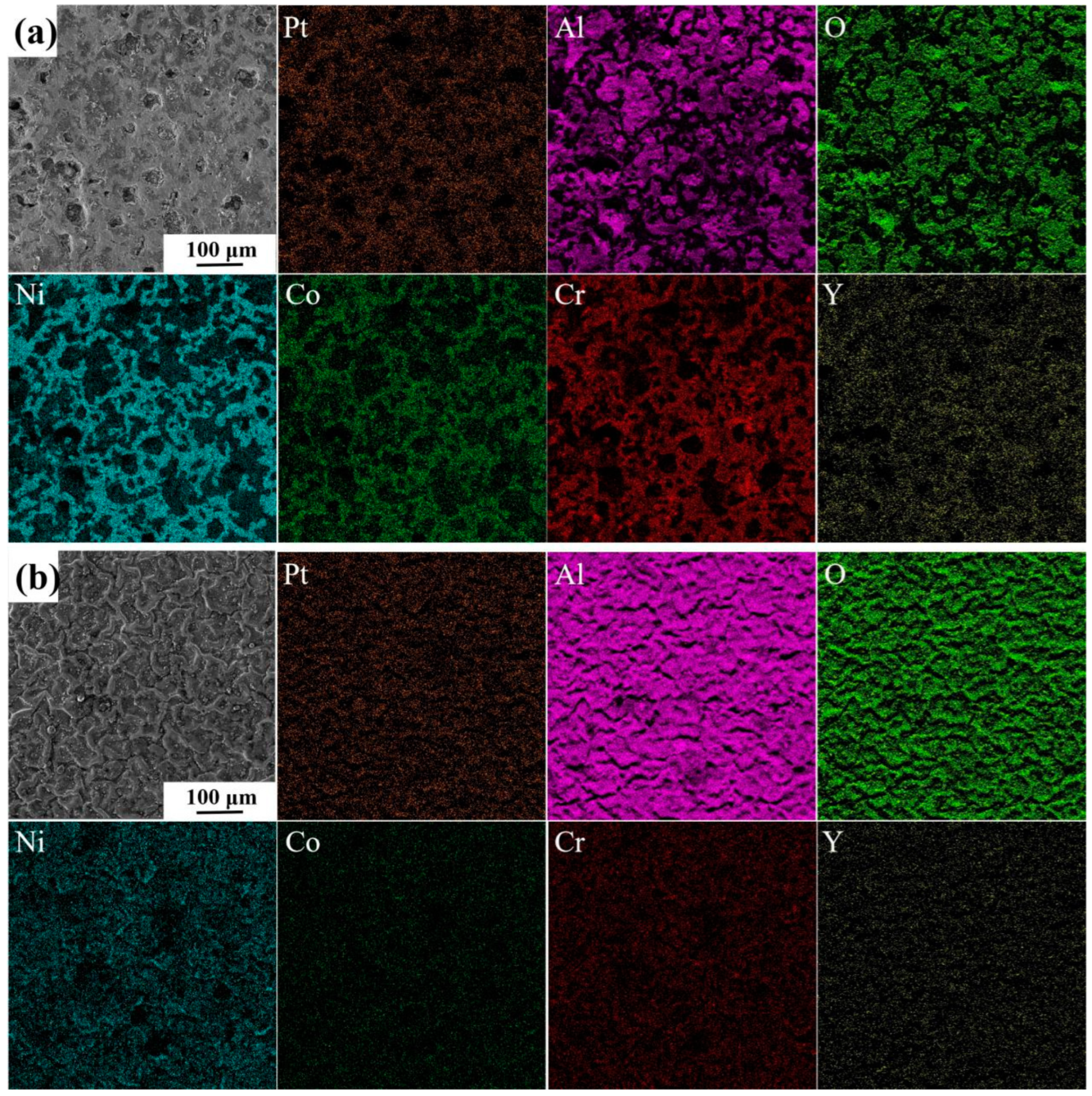 Coatings 14 00326 g008