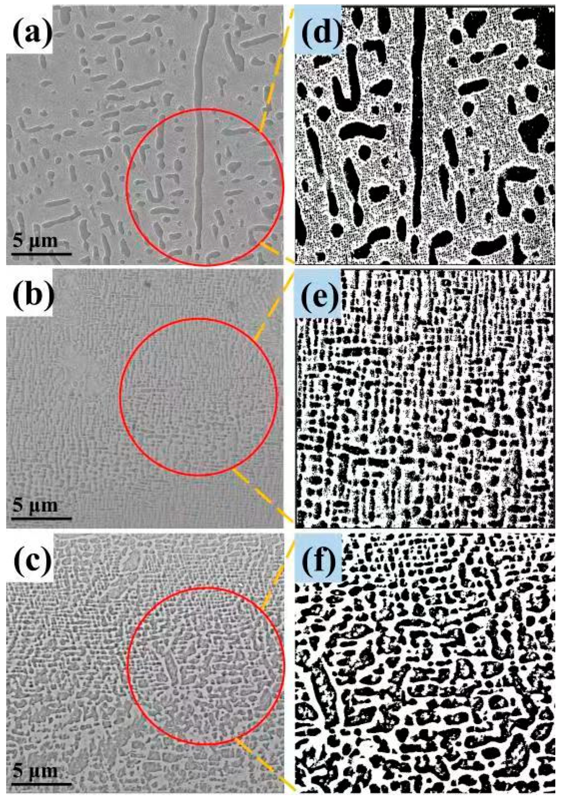 Coatings 14 00326 g010