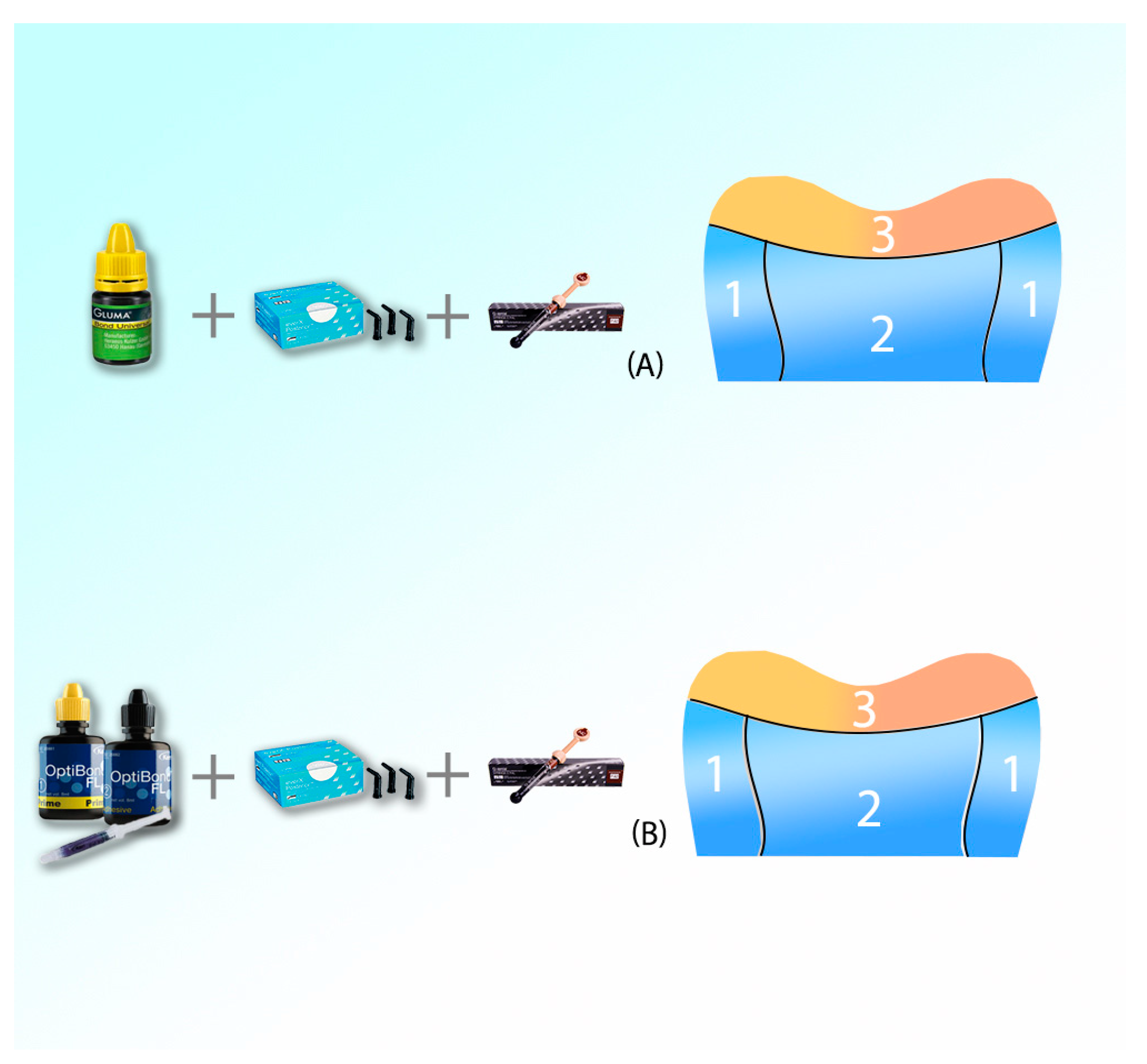 Coatings 14 00329 g002