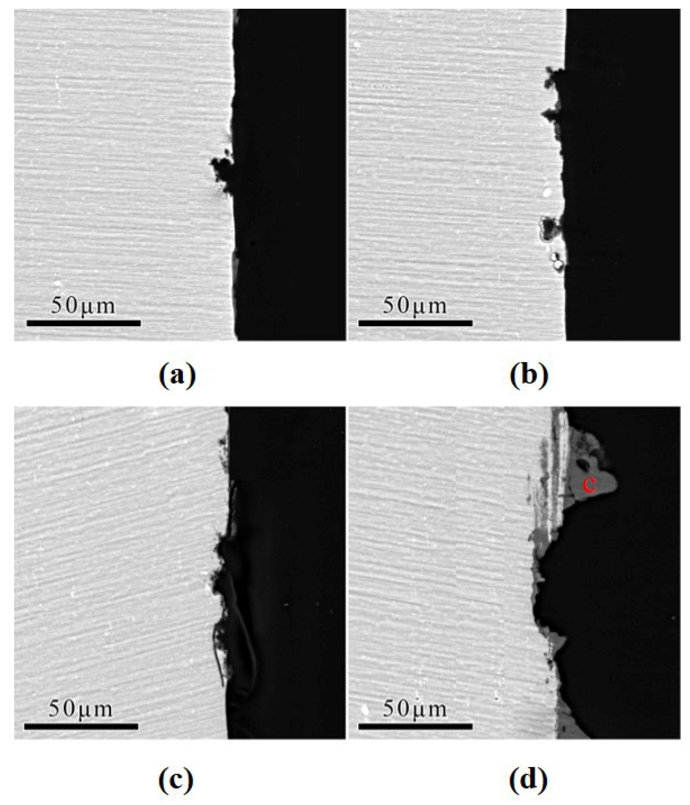 Coatings 14 00331 g004