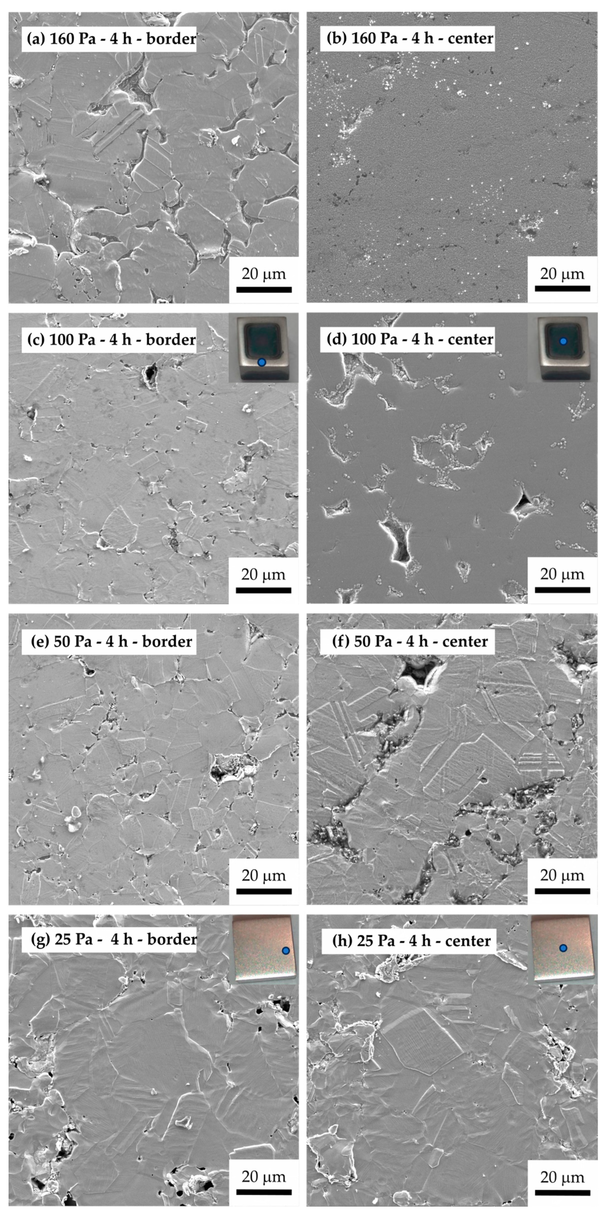 Coatings 14 00334 g002 Coatings 14 00334 g002