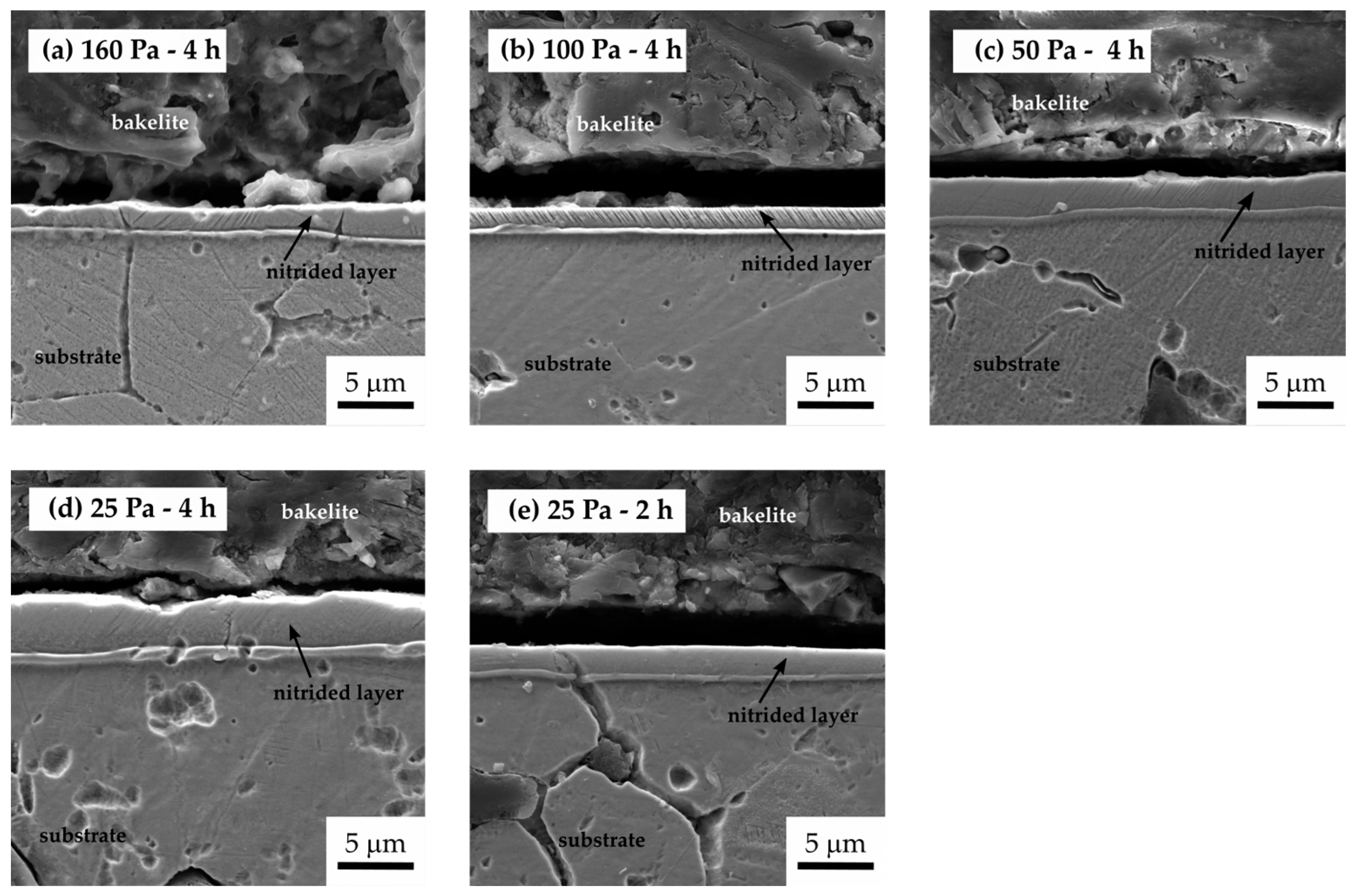 Coatings 14 00334 g004 Coatings 14 00334 g004