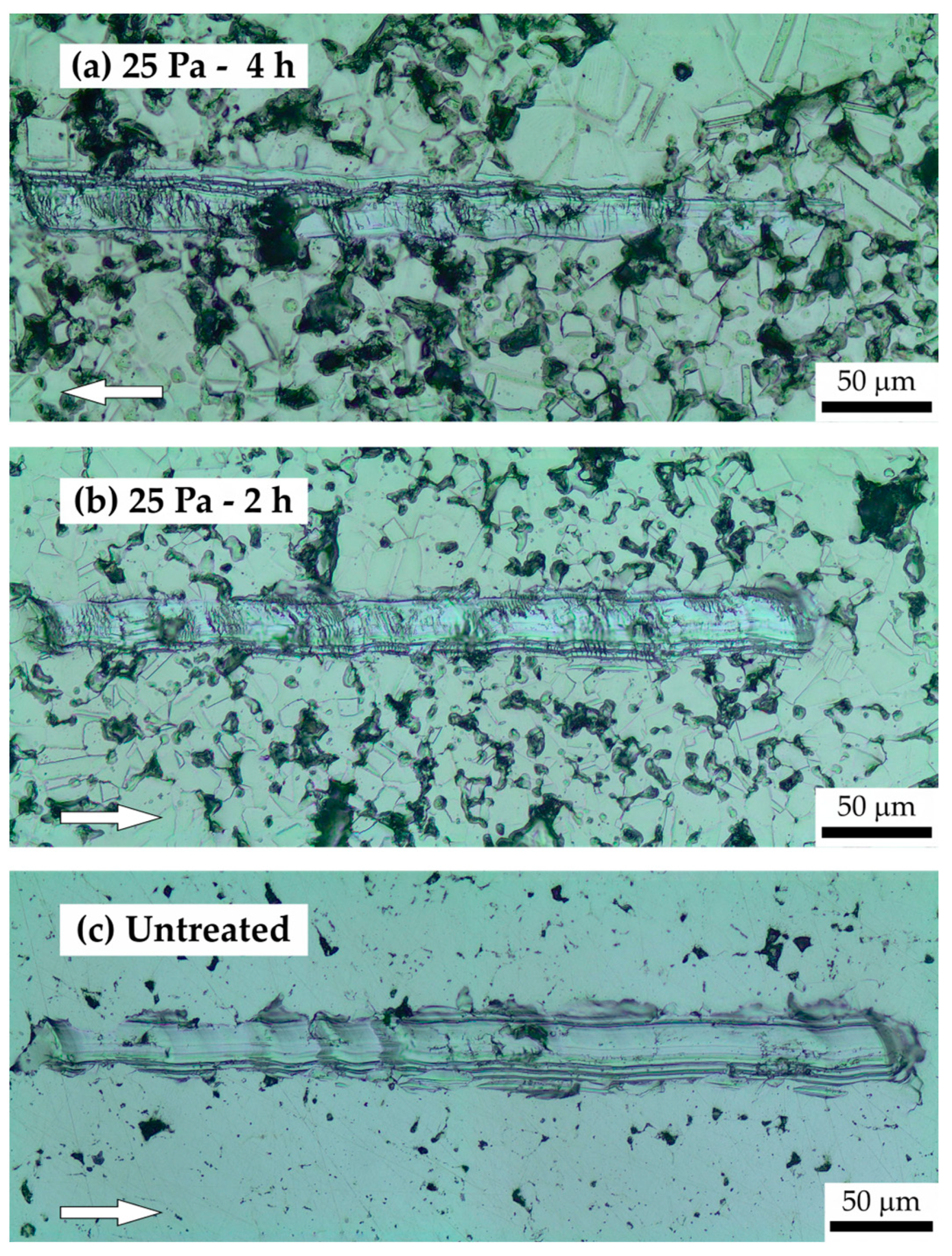 Coatings 14 00334 g007 Coatings 14 00334 g007
