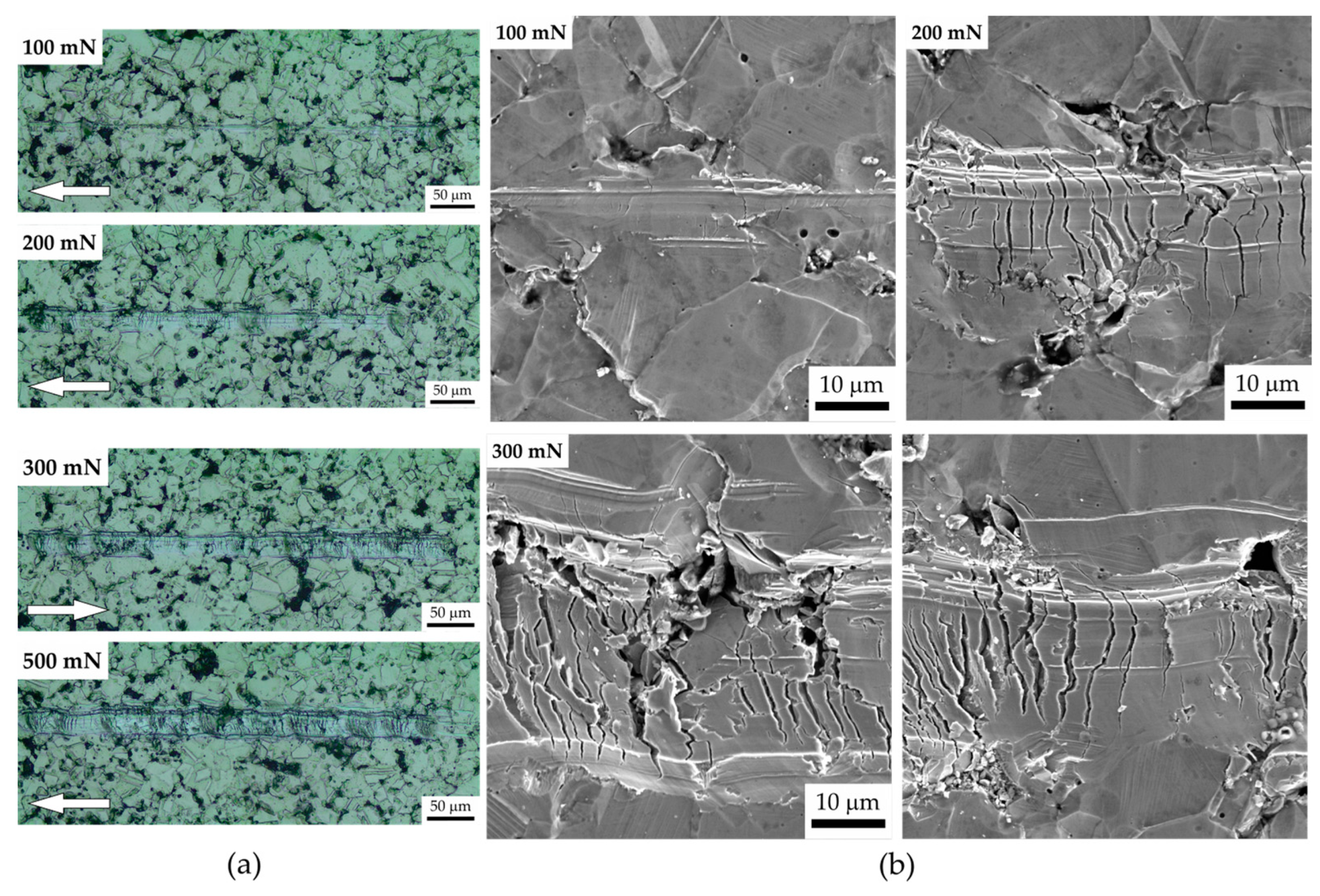 Coatings 14 00334 g008 Coatings 14 00334 g008