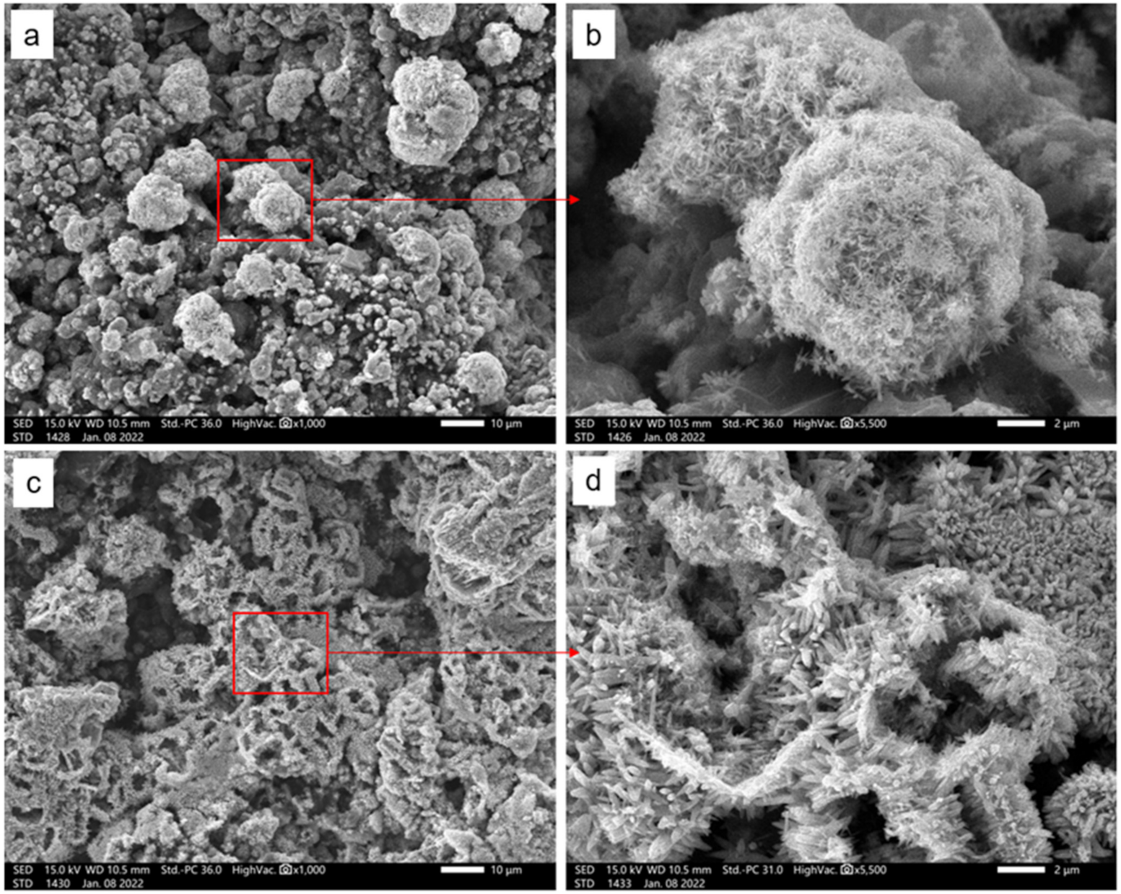 Coatings 14 00336 g007