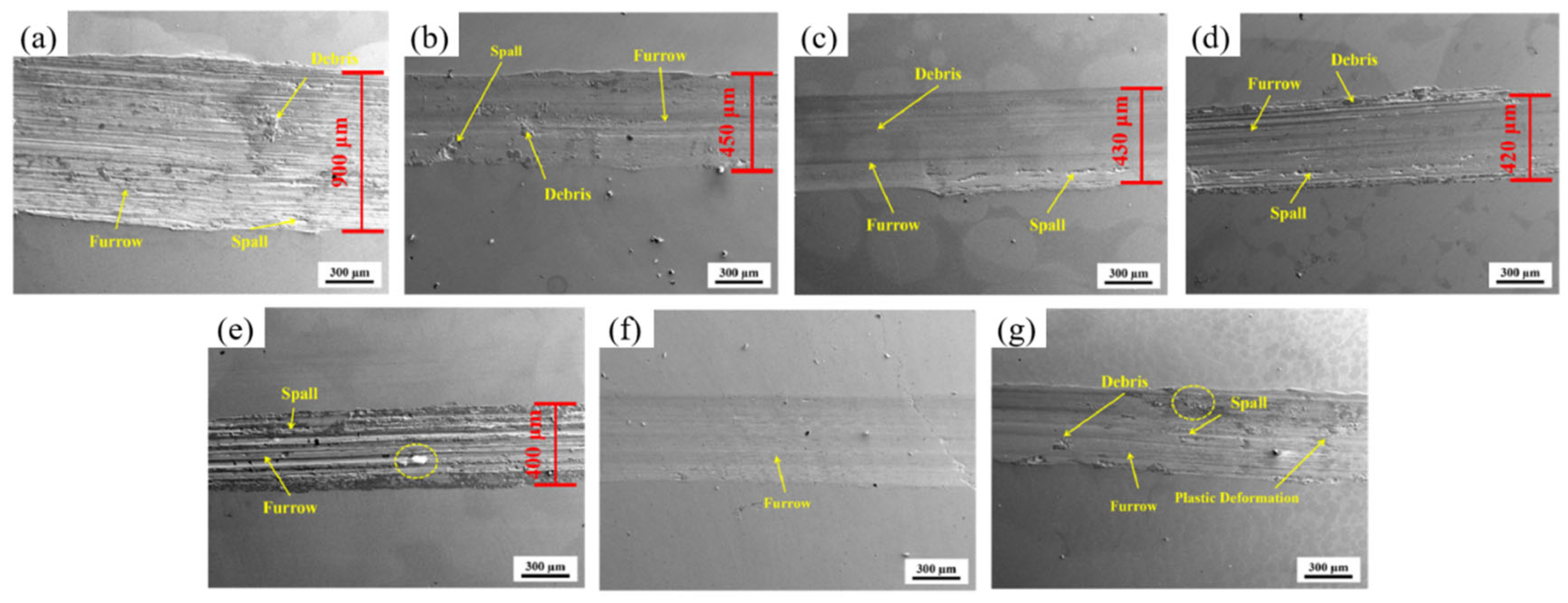 Coatings 14 00337 g004