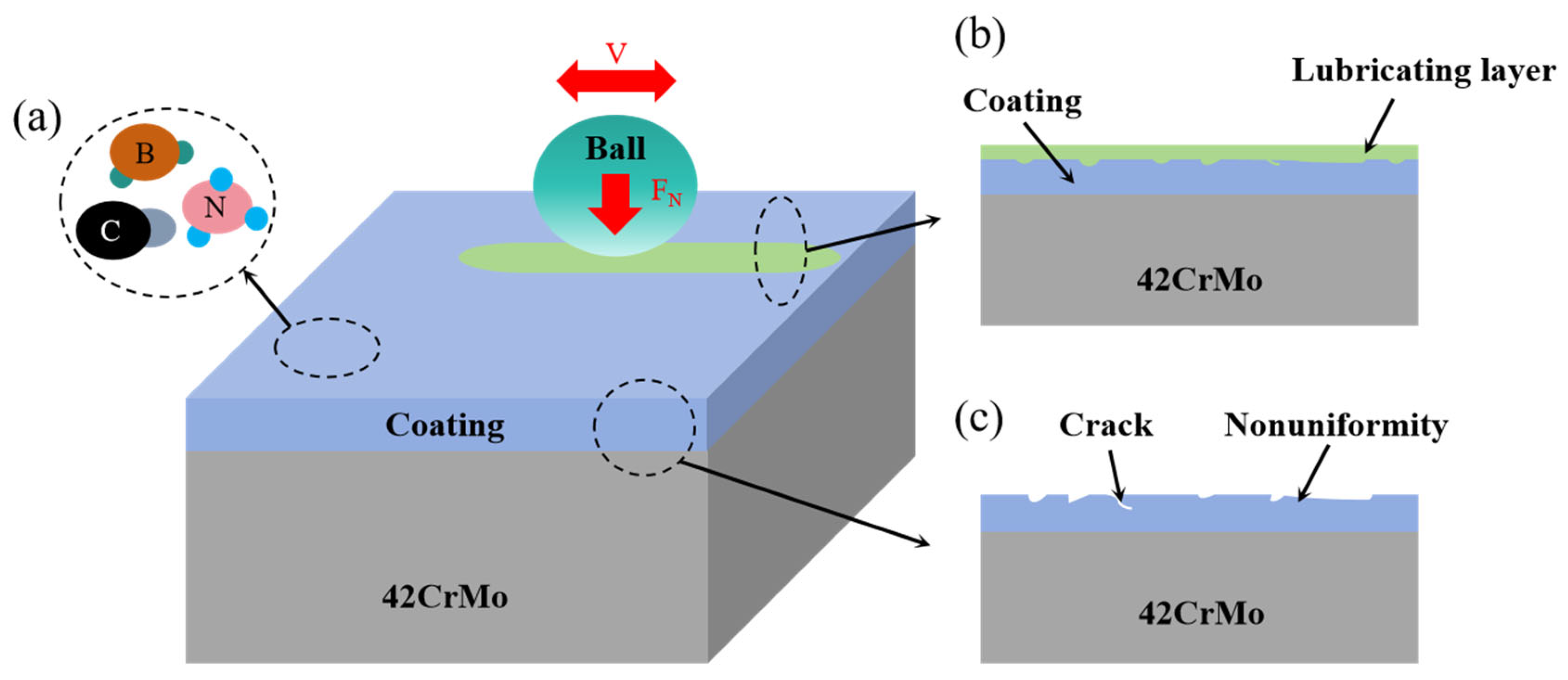 Coatings 14 00337 g006