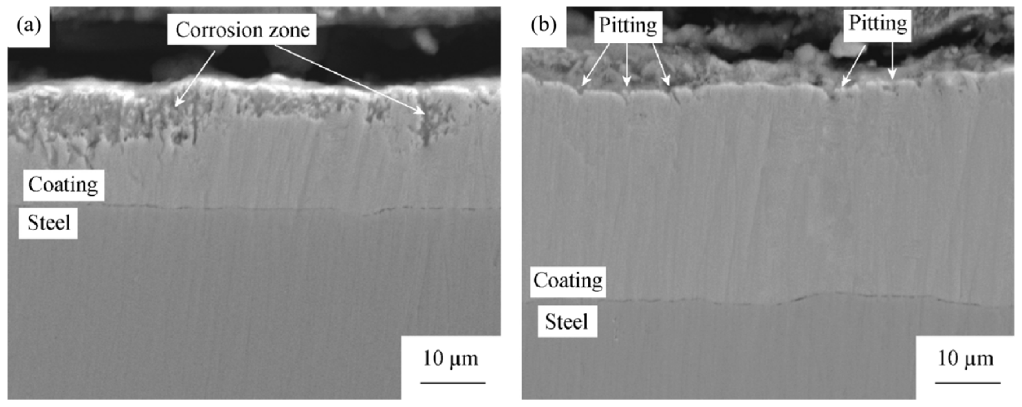 Coatings 14 00337 g007
