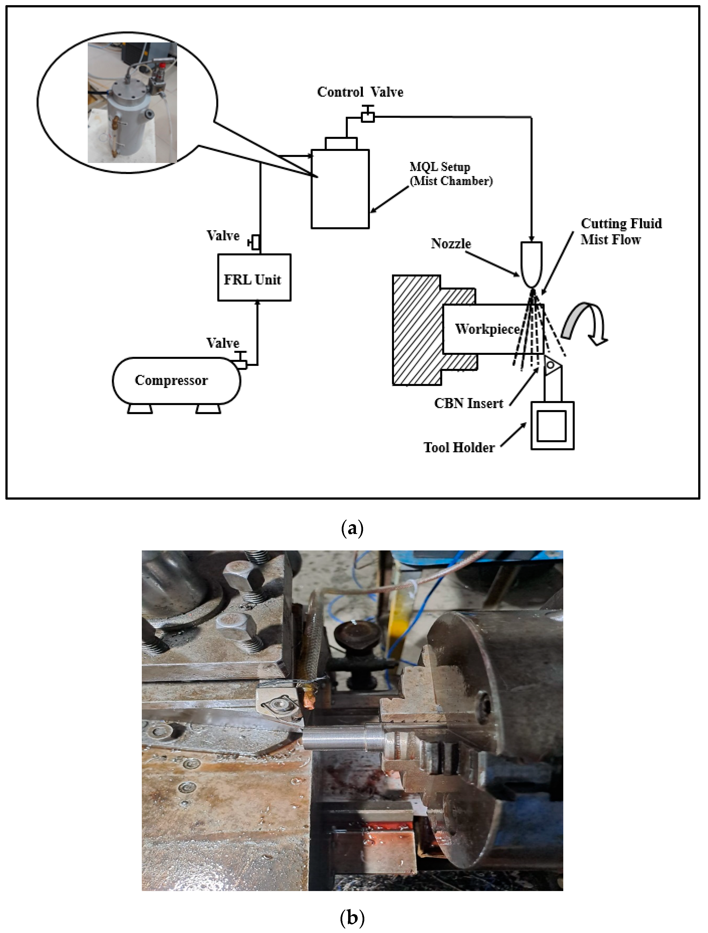 Coatings 14 00340 g004