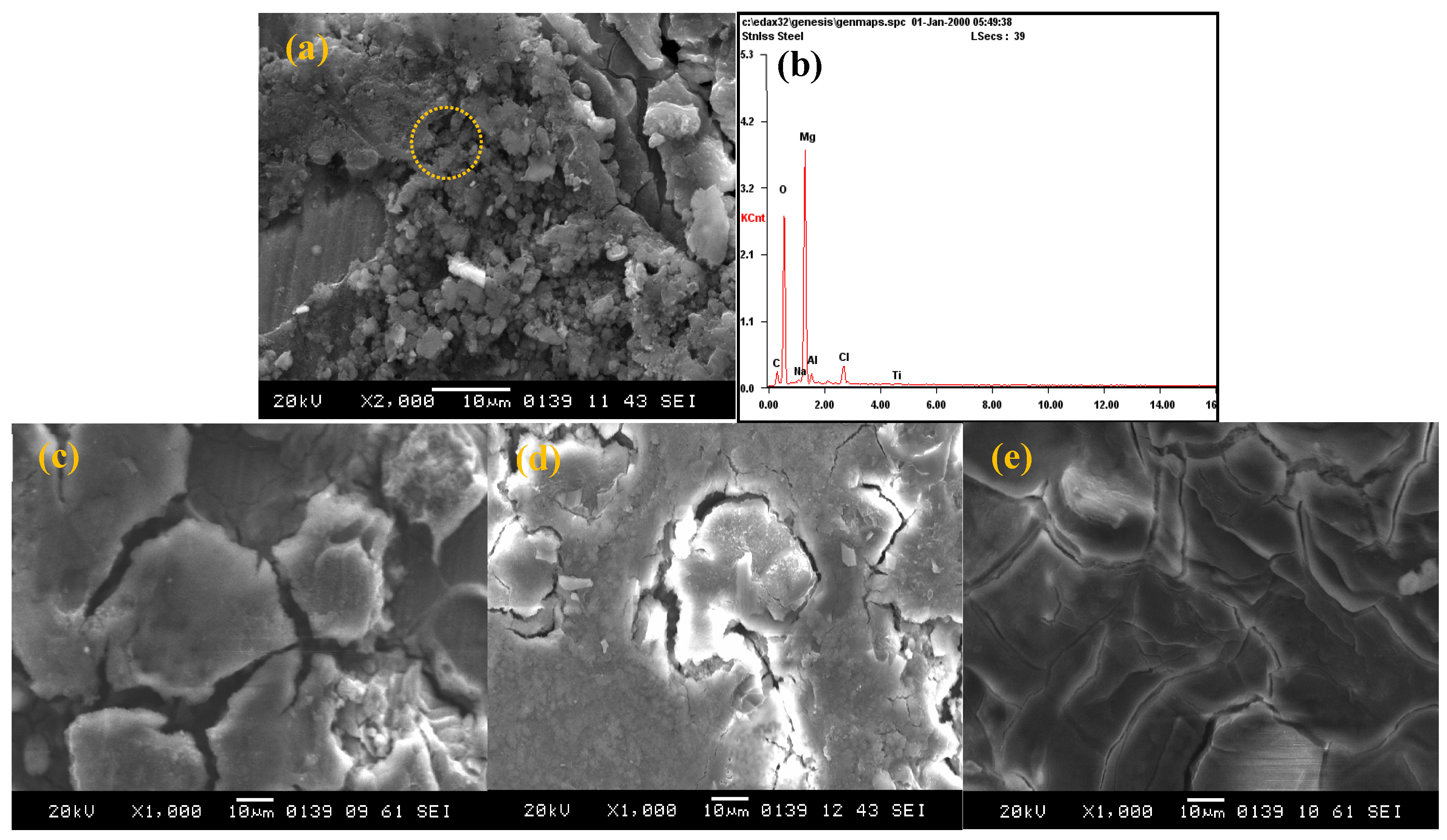 Coatings 14 00341 g005