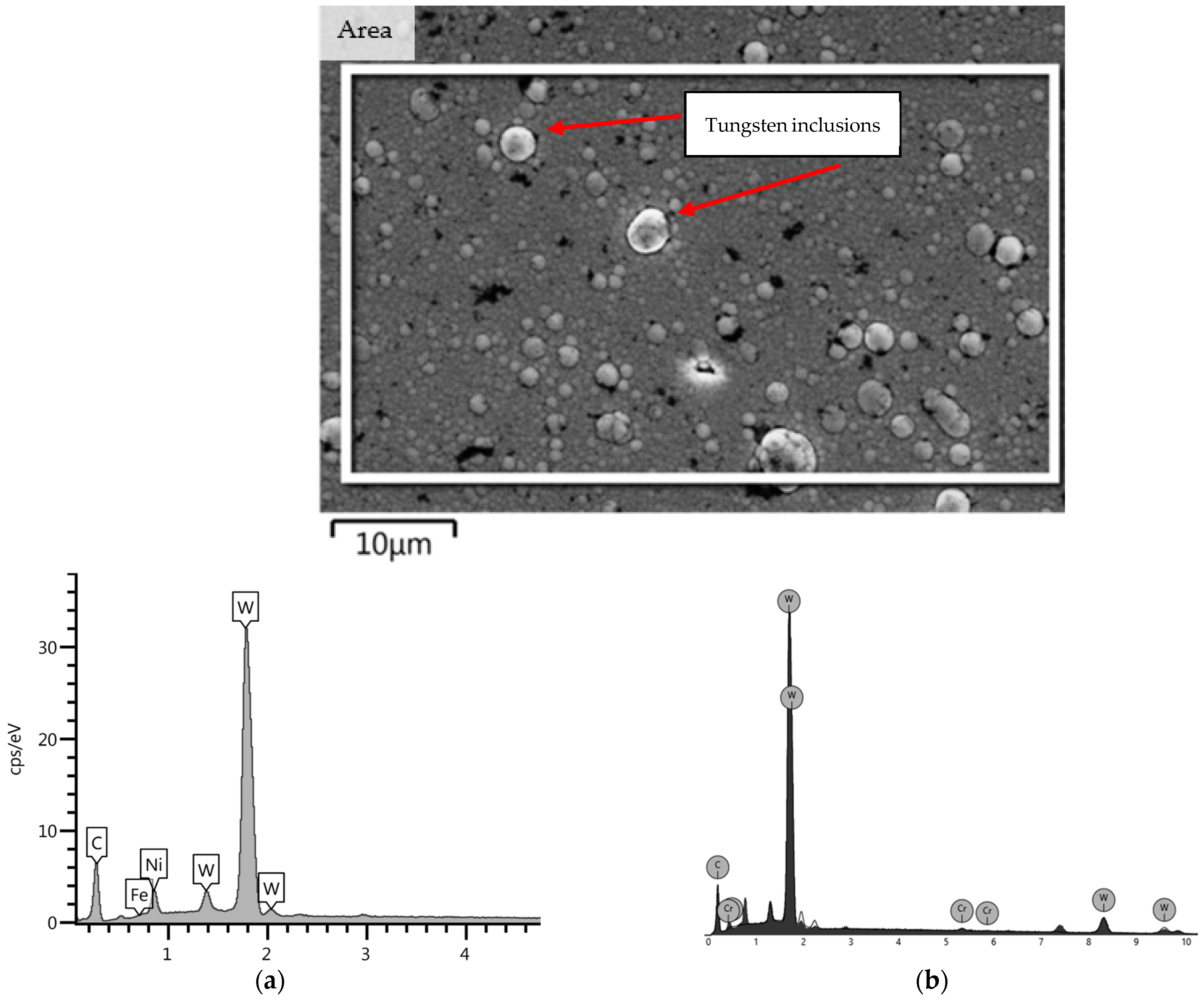 Coatings 14 00342 g005