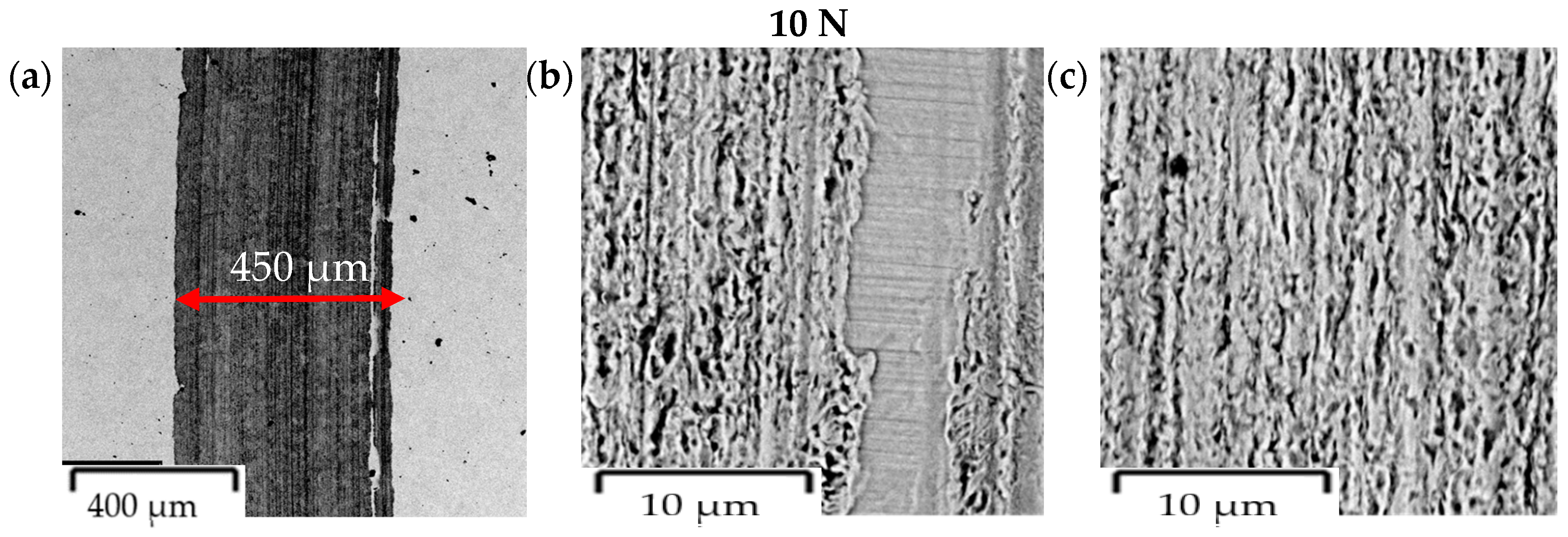 Coatings 14 00342 g015