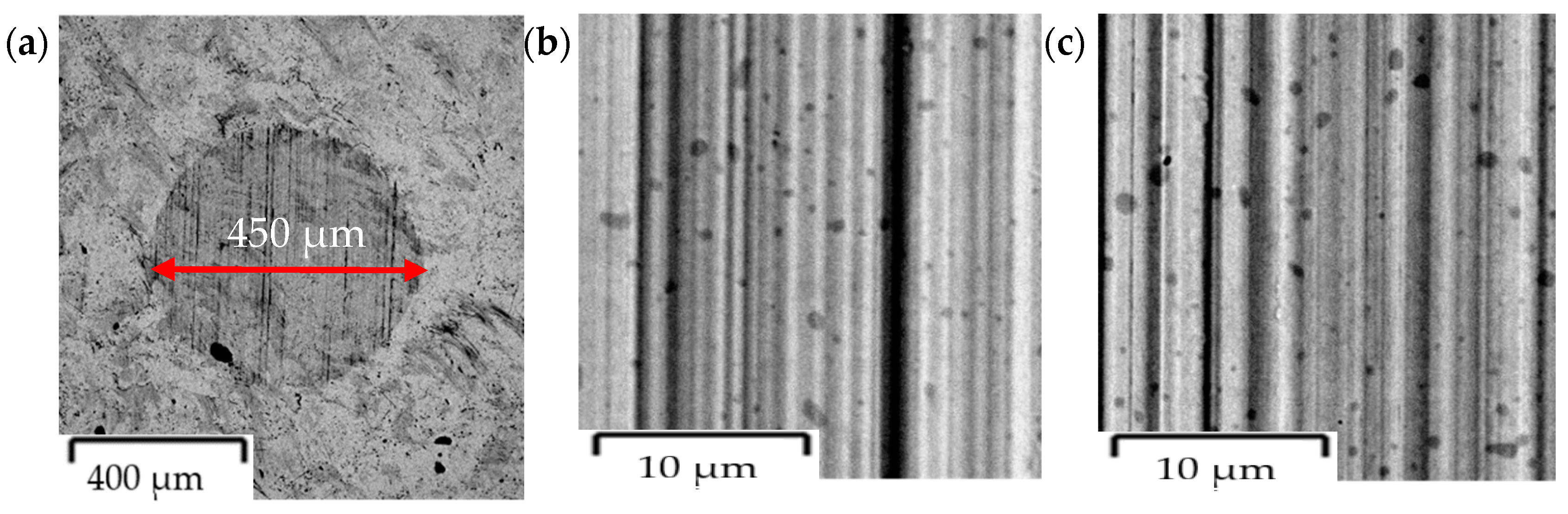 Coatings 14 00342 g016